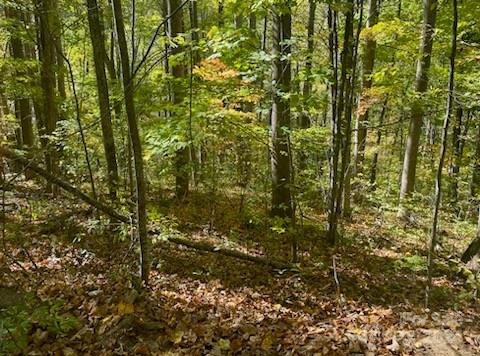 Smoky Mountain Retreat at Eagles Nest - Land