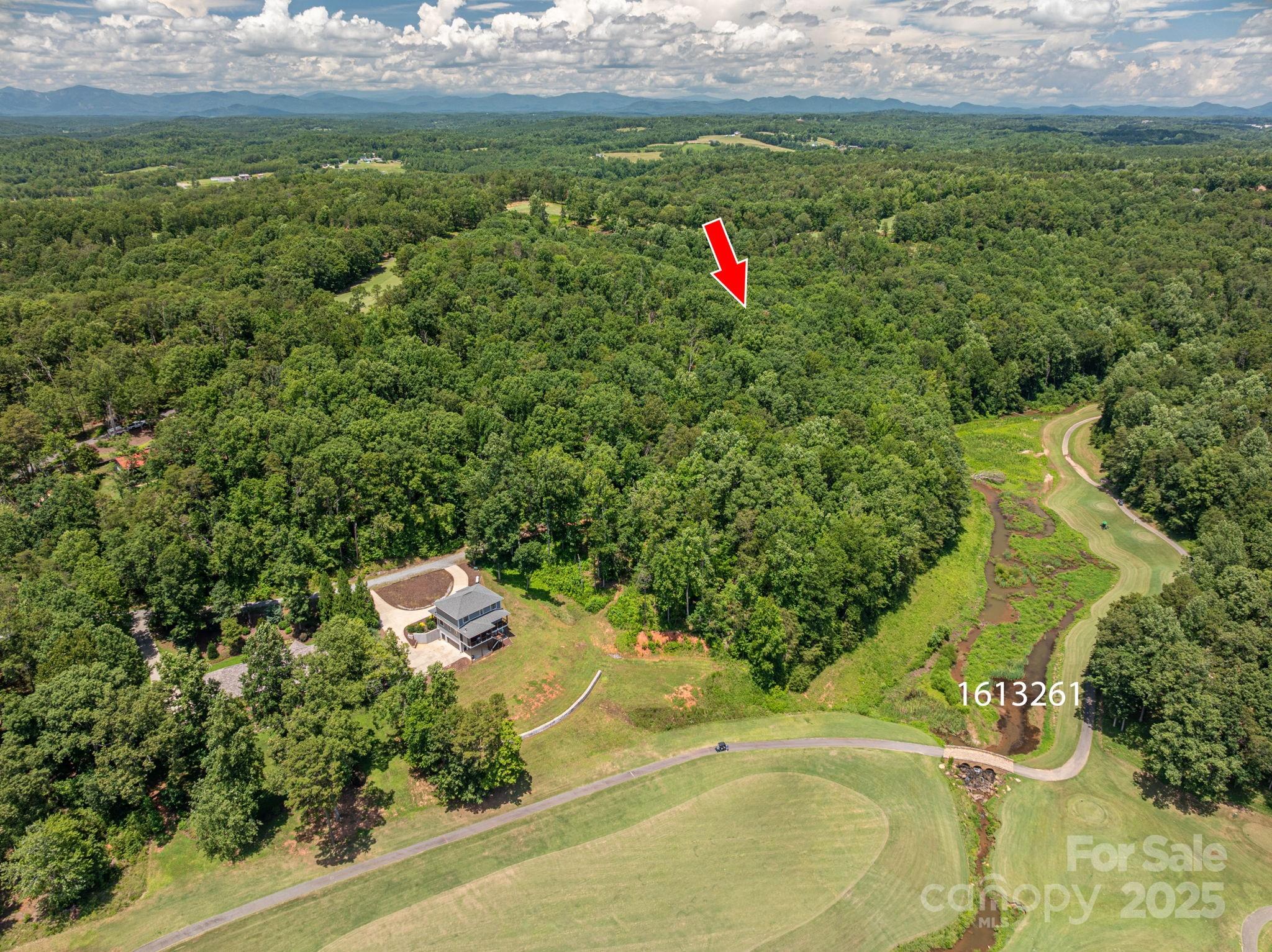 Cleghorn Plantation - Land