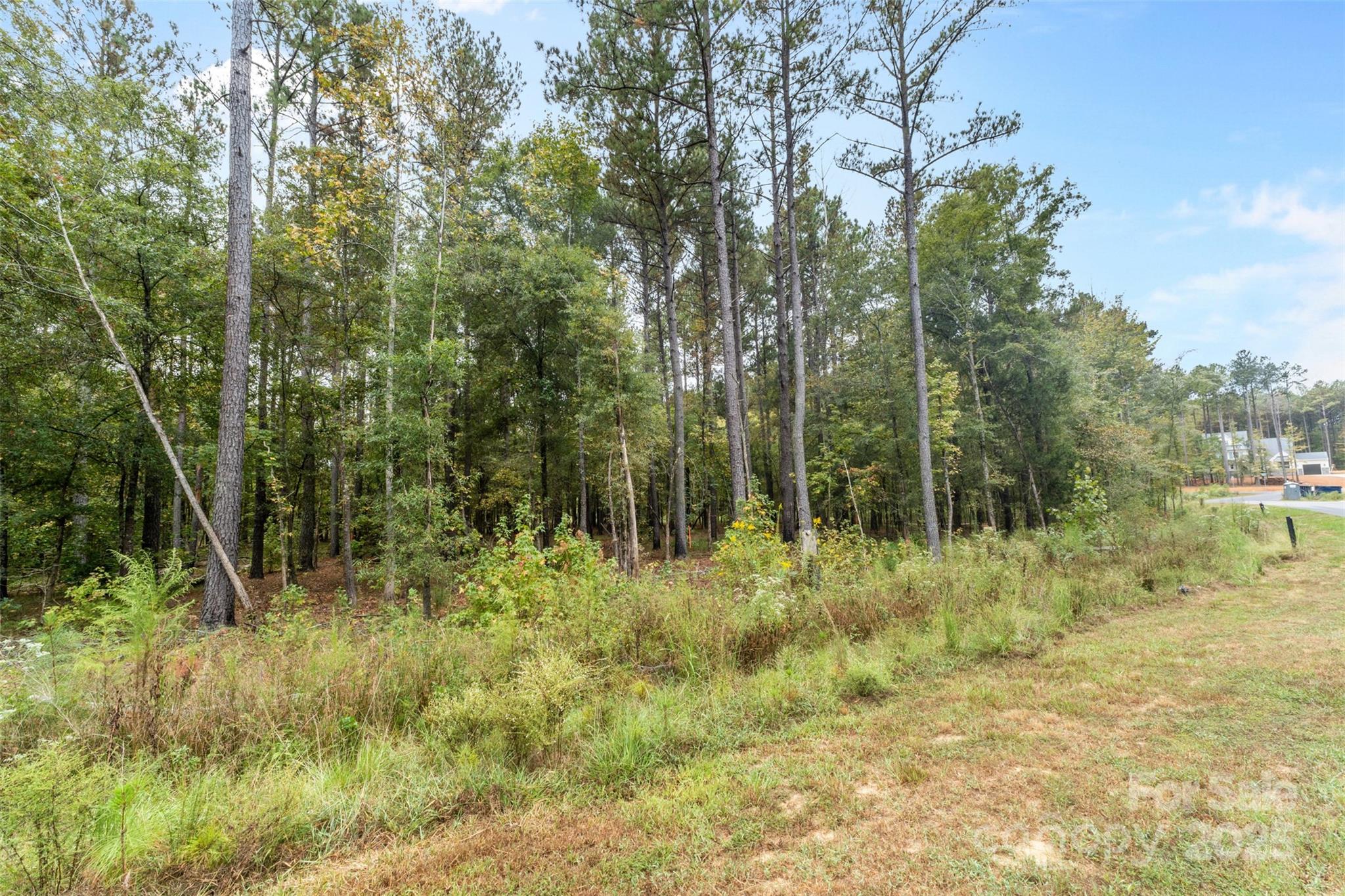 Riverchase Estates - Land