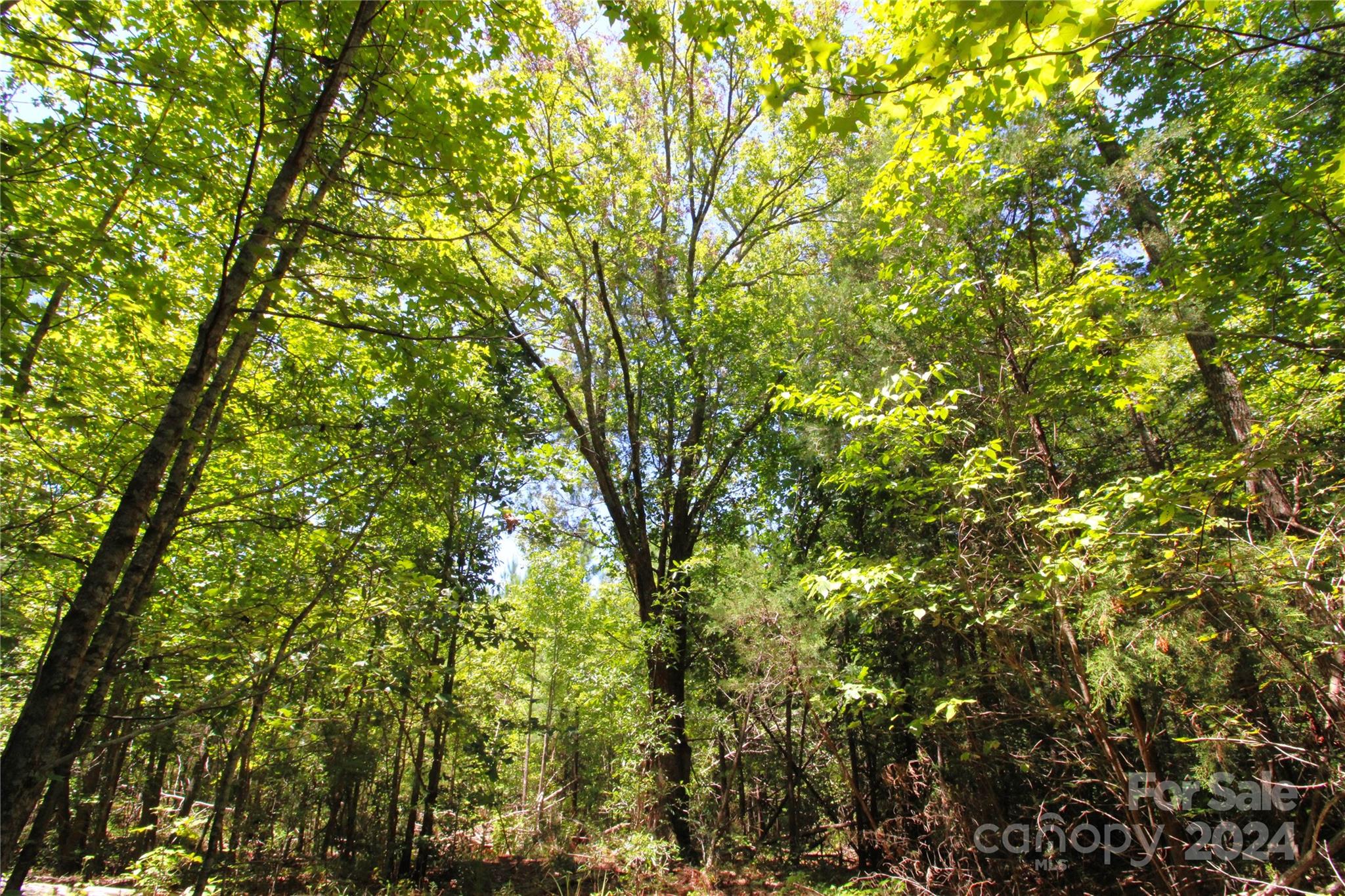 Beautiful 2+/- AC on W.W. Plantation Rd off of Hosea Strong Rd in Chester SC. Property is located on a quiet road surrounded by a mix of hardwoods and pines. Nice build site with approved conventional septic permit. Great place to build your dream home. This lot is part of a larger tract that is being split into smaller tracts. Only 15 minutes to Interstate 77. Minimum restrictions to create like in kind properties. More acreage available. Come see this beautiful property for yourself!