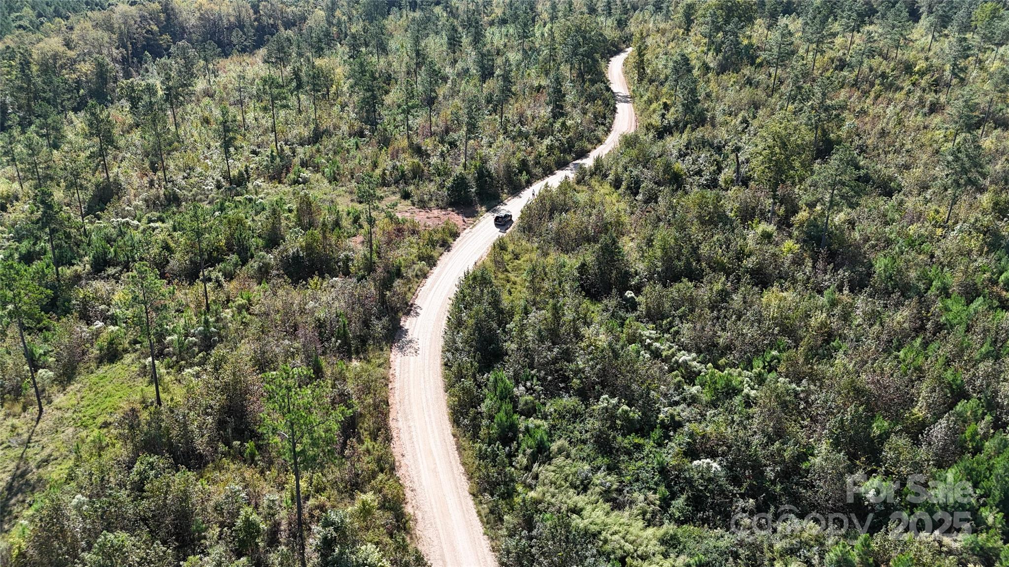 Enjoy the relaxed charm of Pageland, SC! This solid 1+ acre lot sits in a 35-lot neighborhood, just minutes from downtown's handy shops and eateries. New modular homes okay. Check out all 35 lots—ask about multi-lot options!