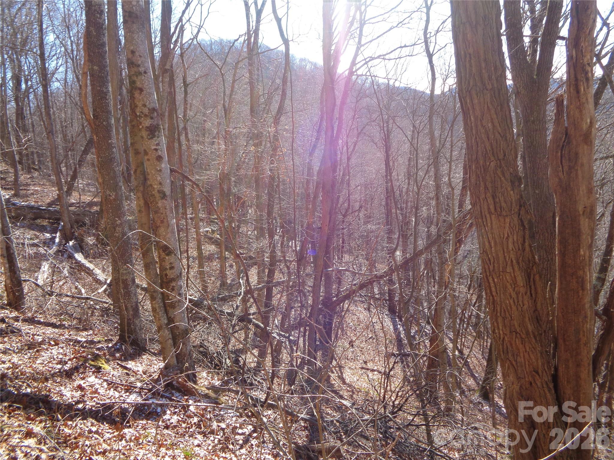 Build your dream home or vacation home on this beautiful mountain parcel located in Sacred Cove Estates; a wonderful development of mostly Summer/Vacation homes. This property offers the potential for a private setting among natural trees and vegetation. Mountain & Valley views with some tree cutting. Only a short distance to Waynesville, The Blue Ridge Prkwy, The Great Smoky Mountains National Park, and so much more.