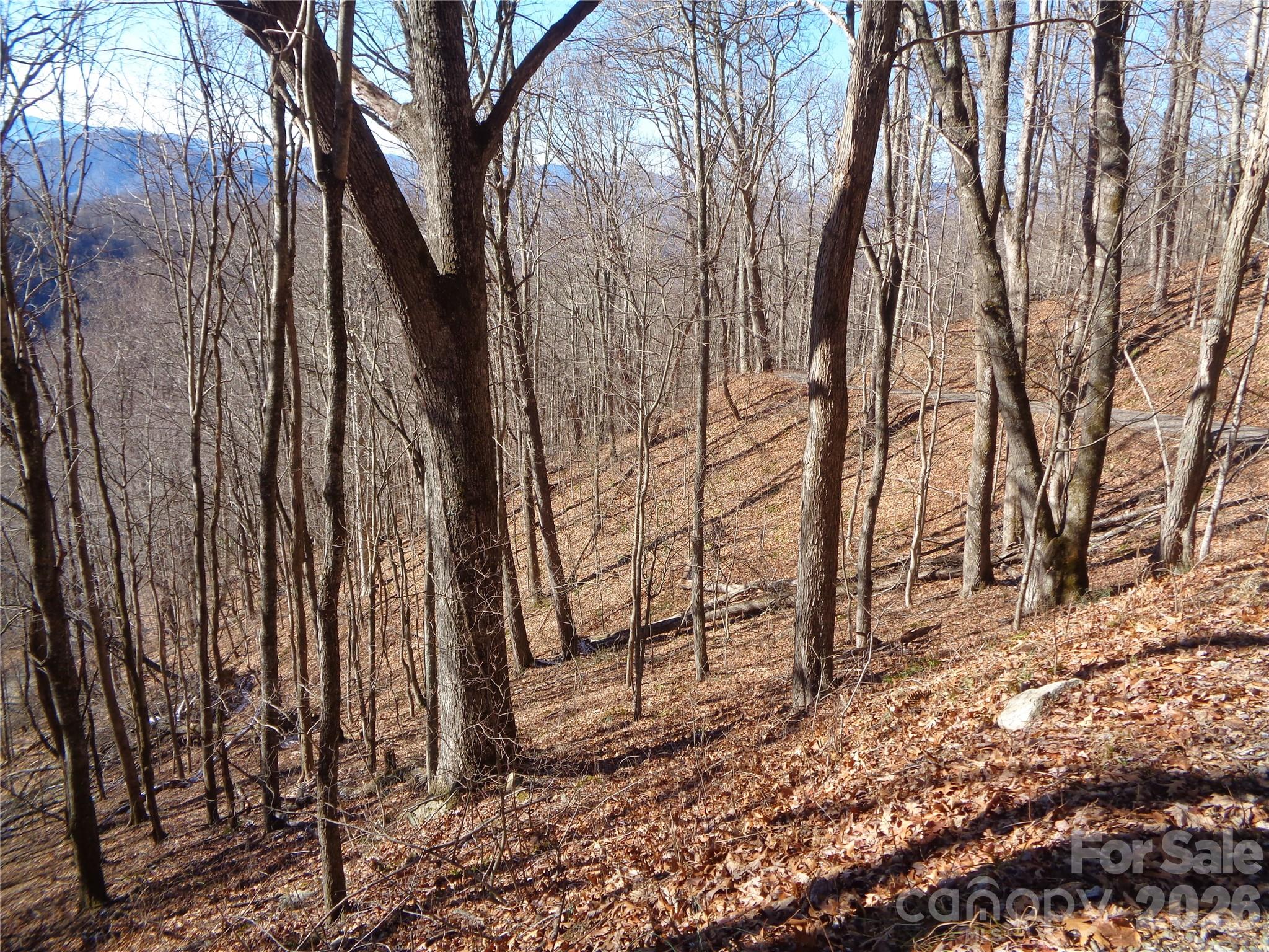 Sacred Cove Estates - Land