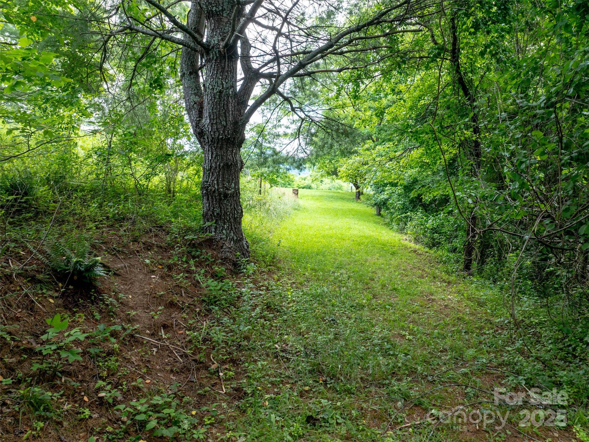 Hyder Mountain Acres - Land