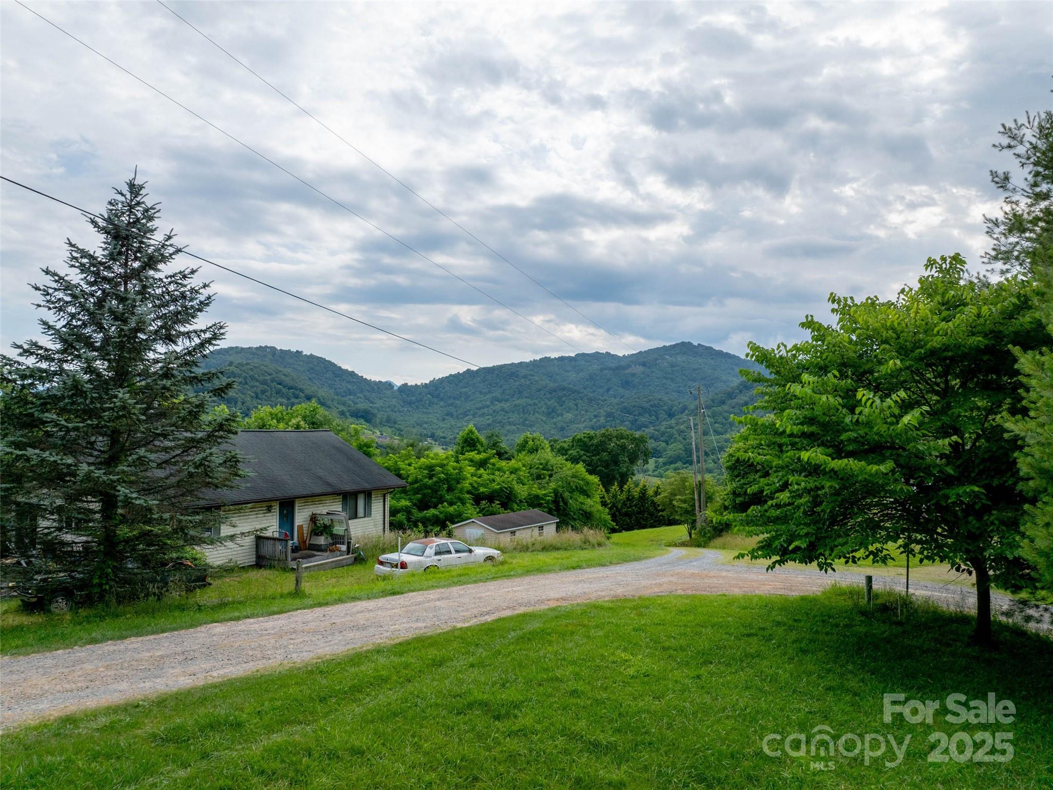 Hyder Mountain Acres - Land