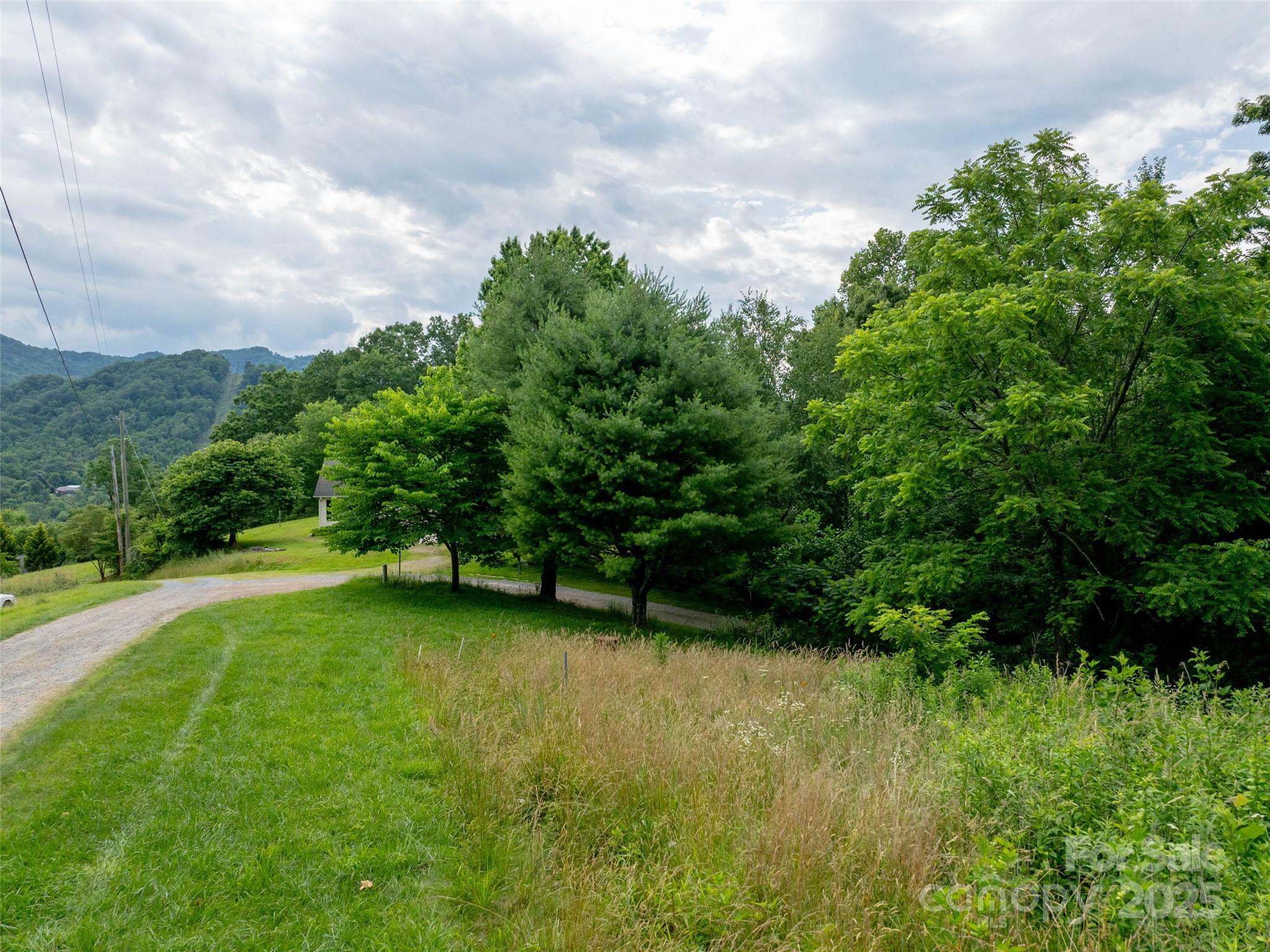 Hyder Mountain Acres - Land