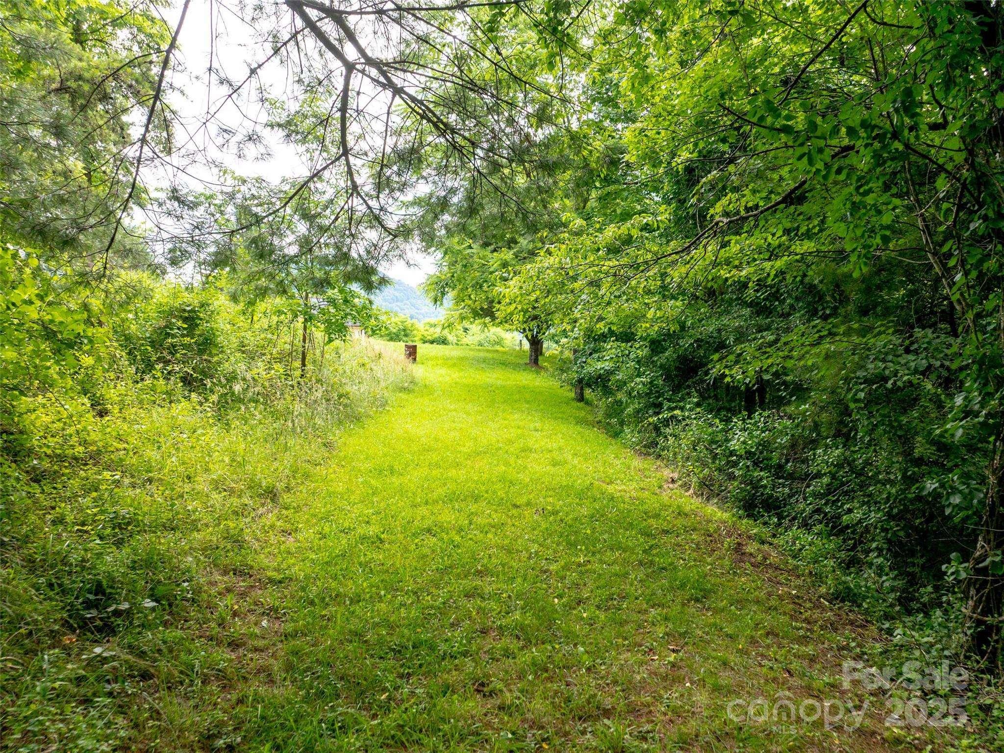 Hyder Mountain Acres - Land