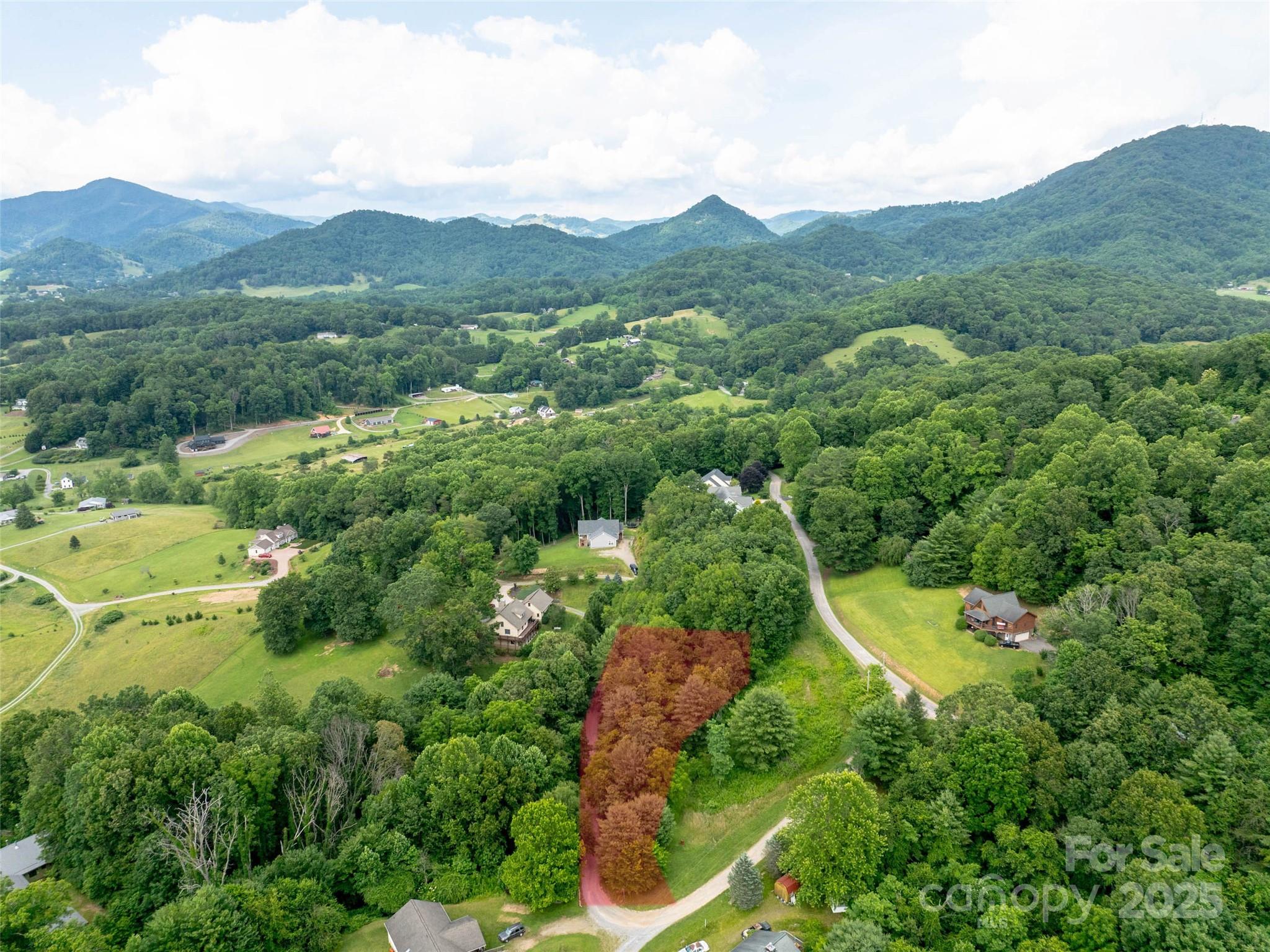 Hyder Mountain Acres - Land