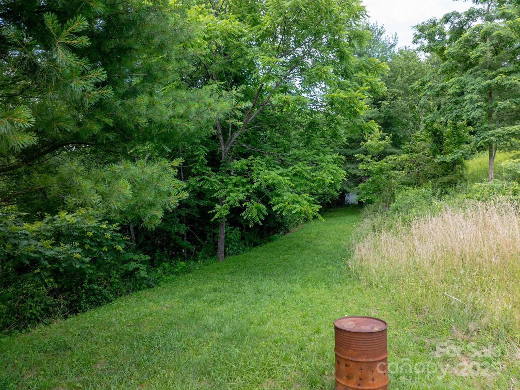 Hyder Mountain Acres - Land