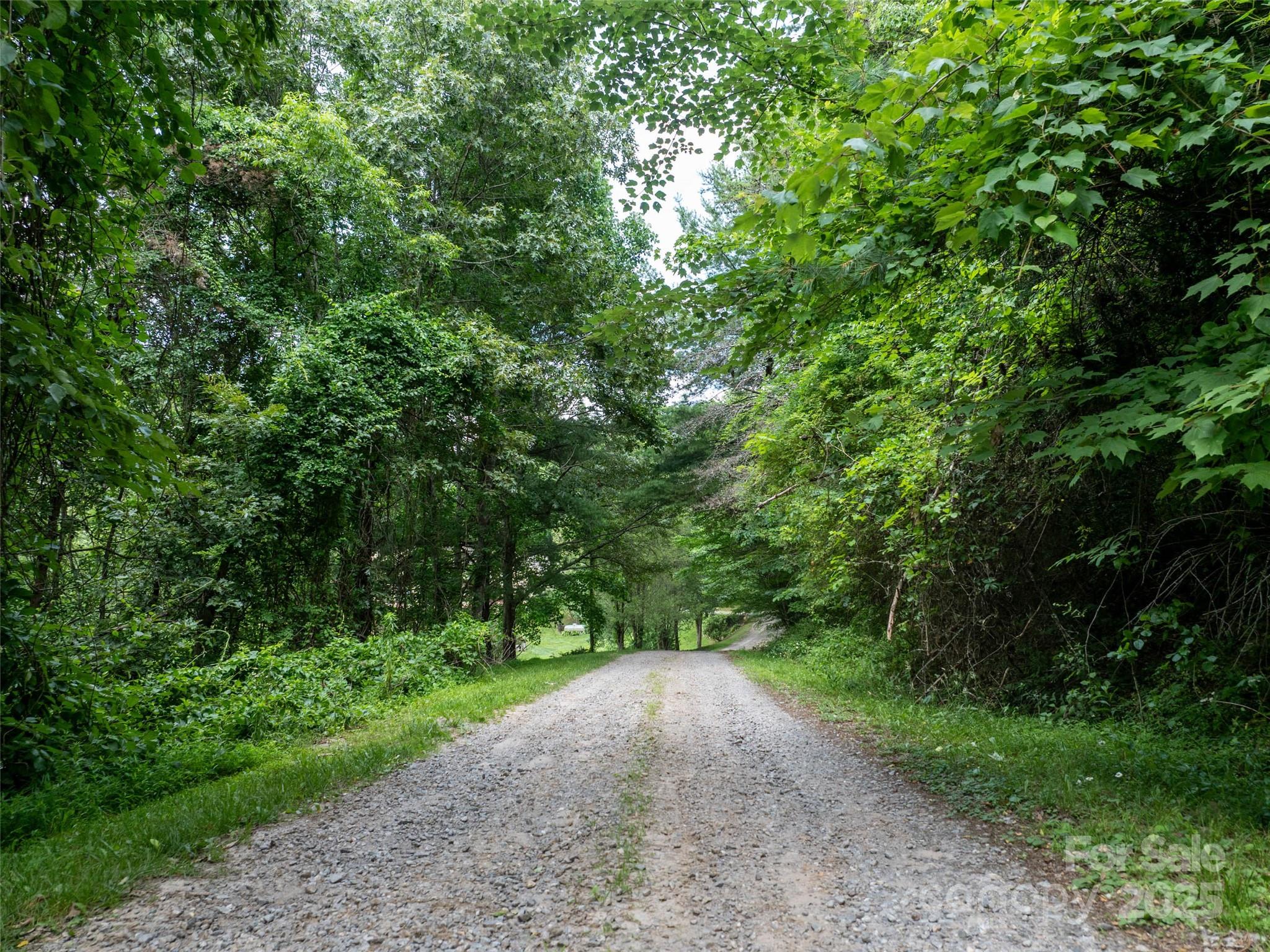 Hyder Mountain Acres - Land
