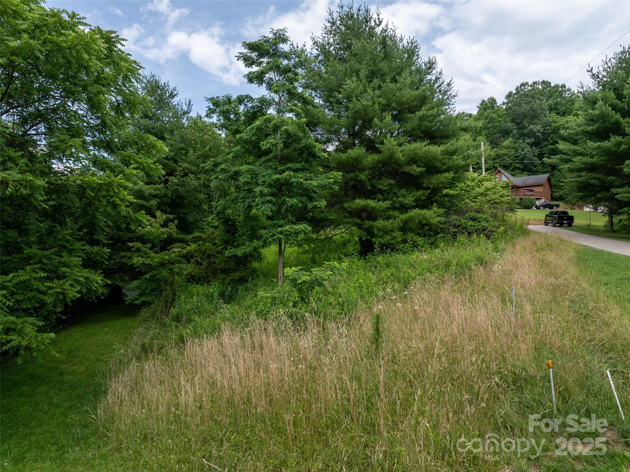 Hyder Mountain Acres - Land