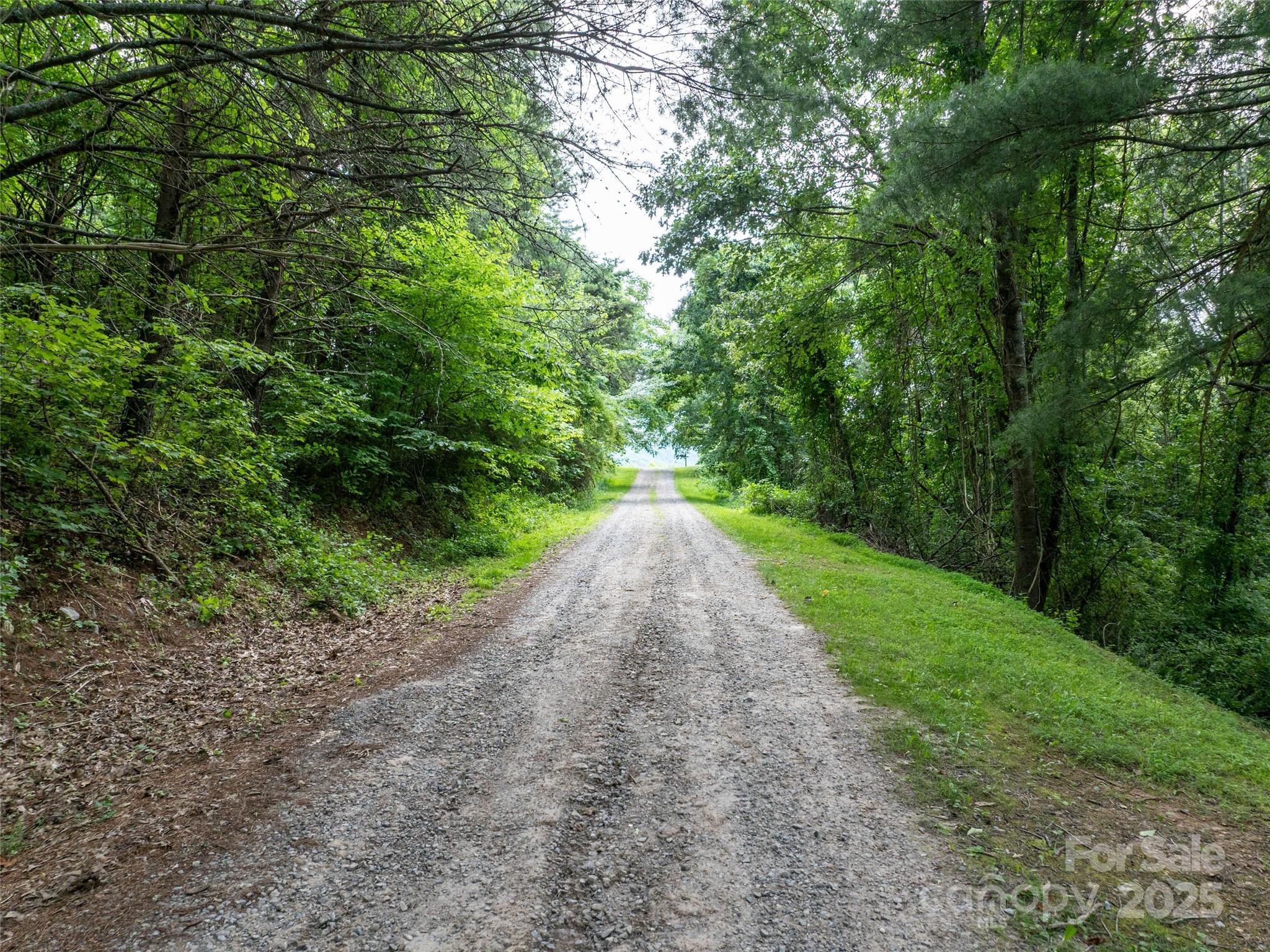 Hyder Mountain Acres - Land