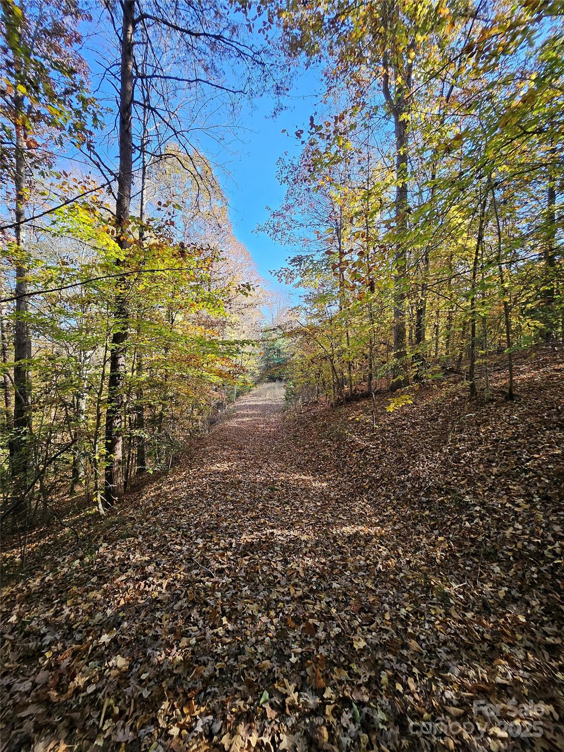Green Hill Farms - Land