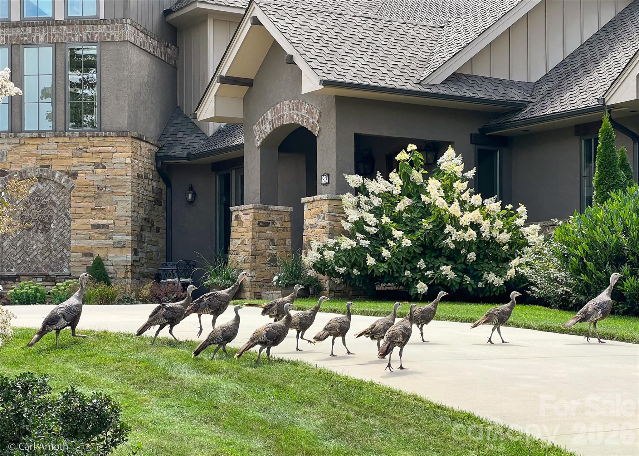 Grand Highlands at Bearwallow - Land