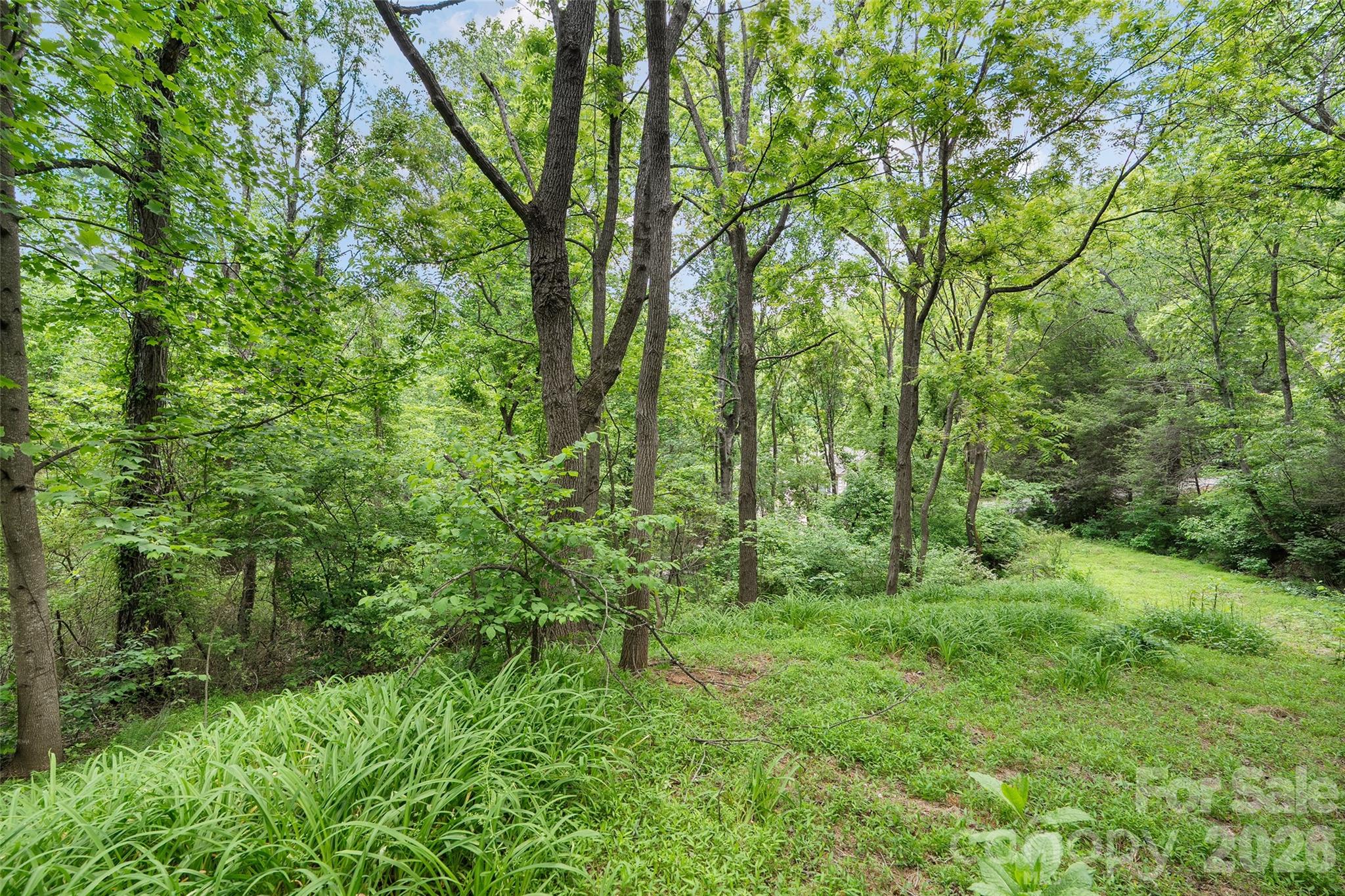 Serenity Forest - Land