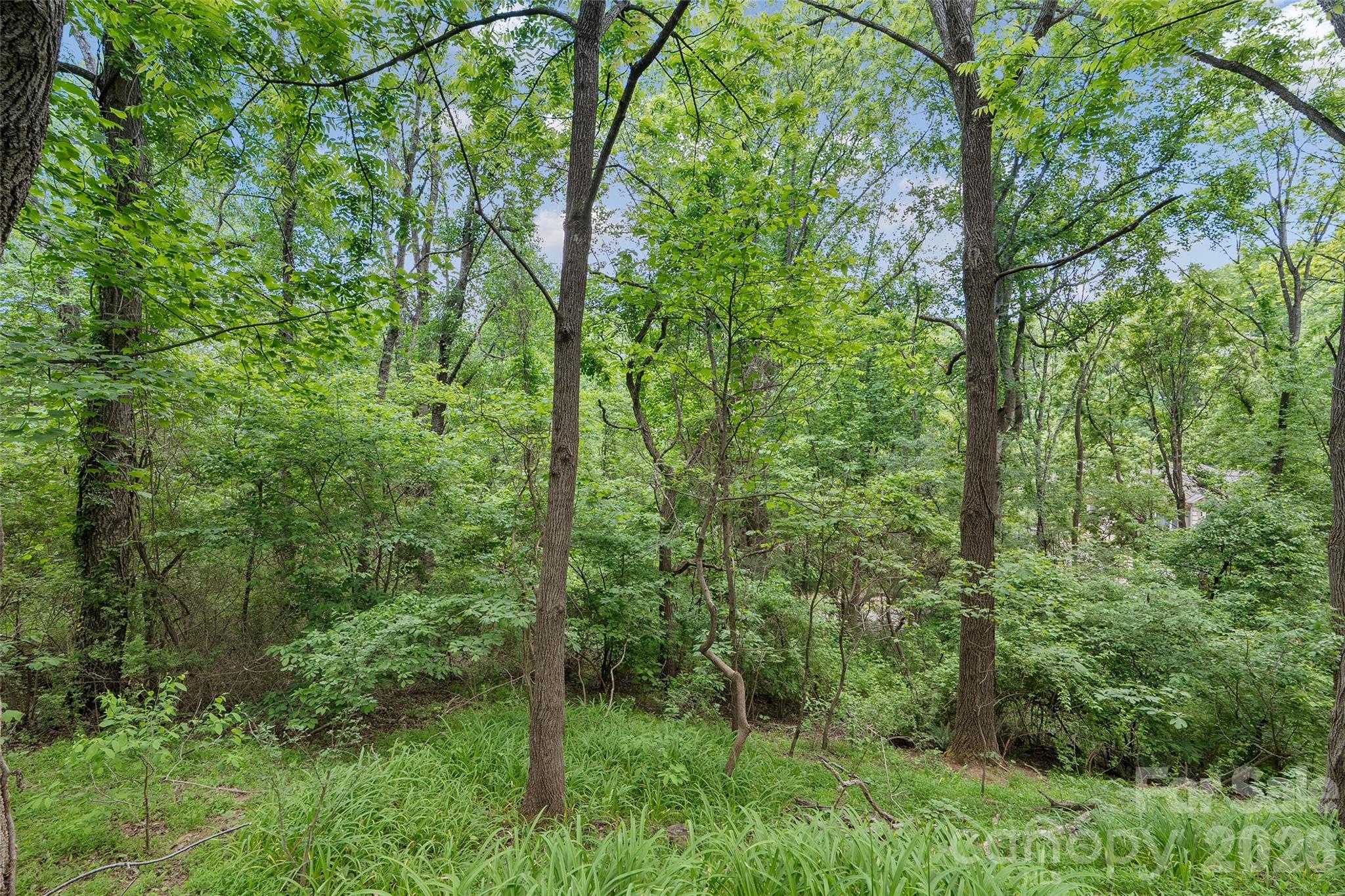 Serenity Forest - Land