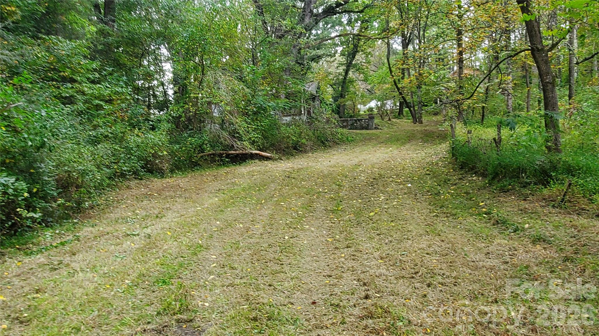 Forest Hills - Land