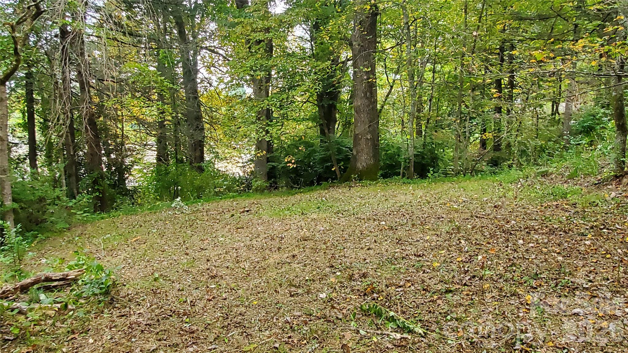 Forest Hills - Land