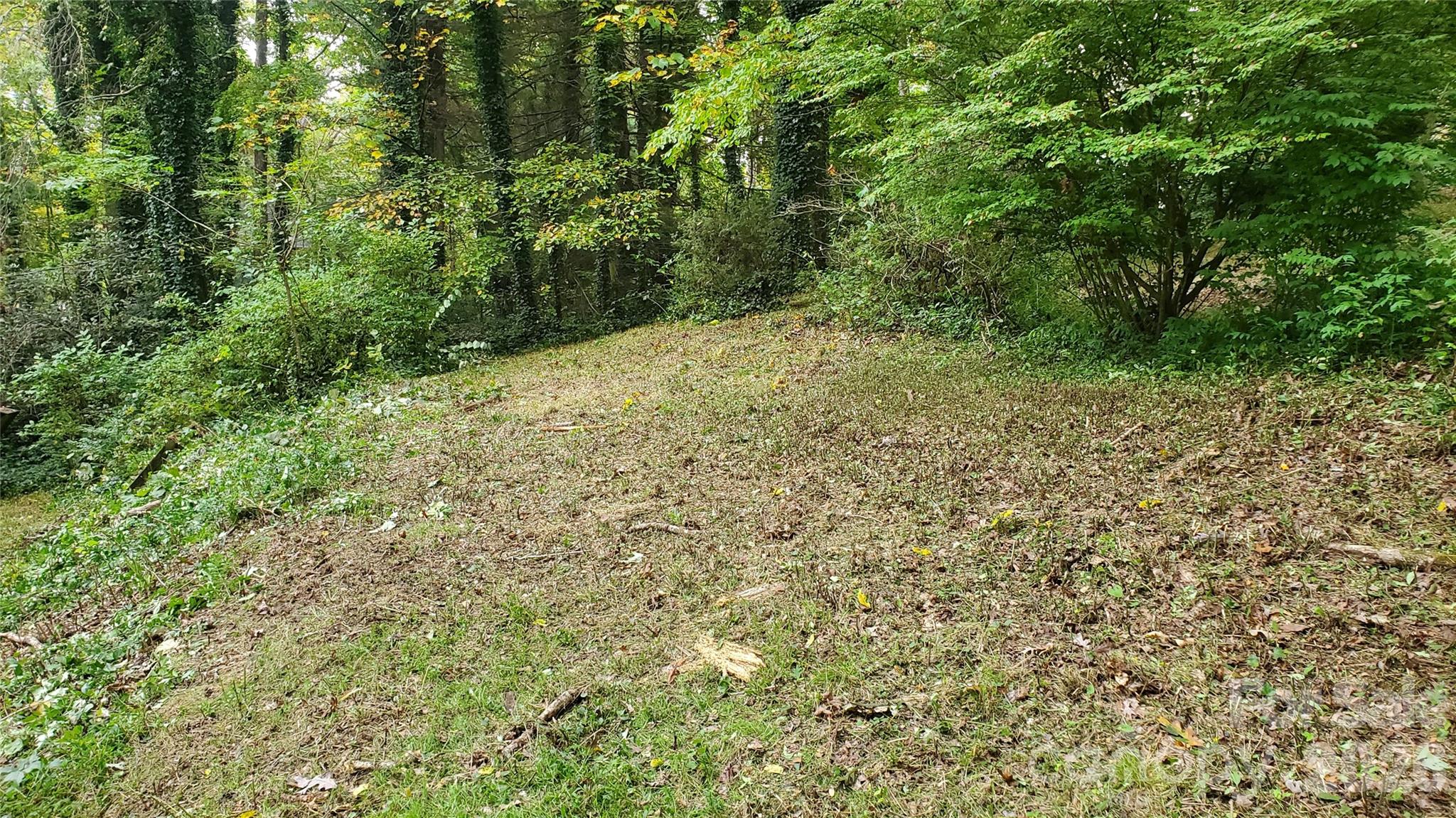 Forest Hills - Land