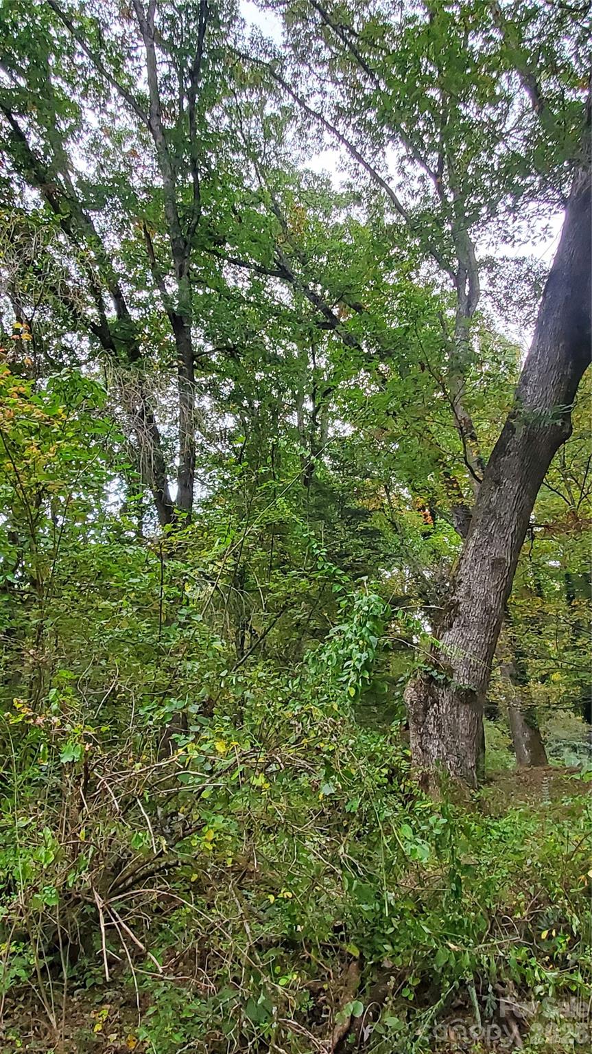 Forest Hills - Land