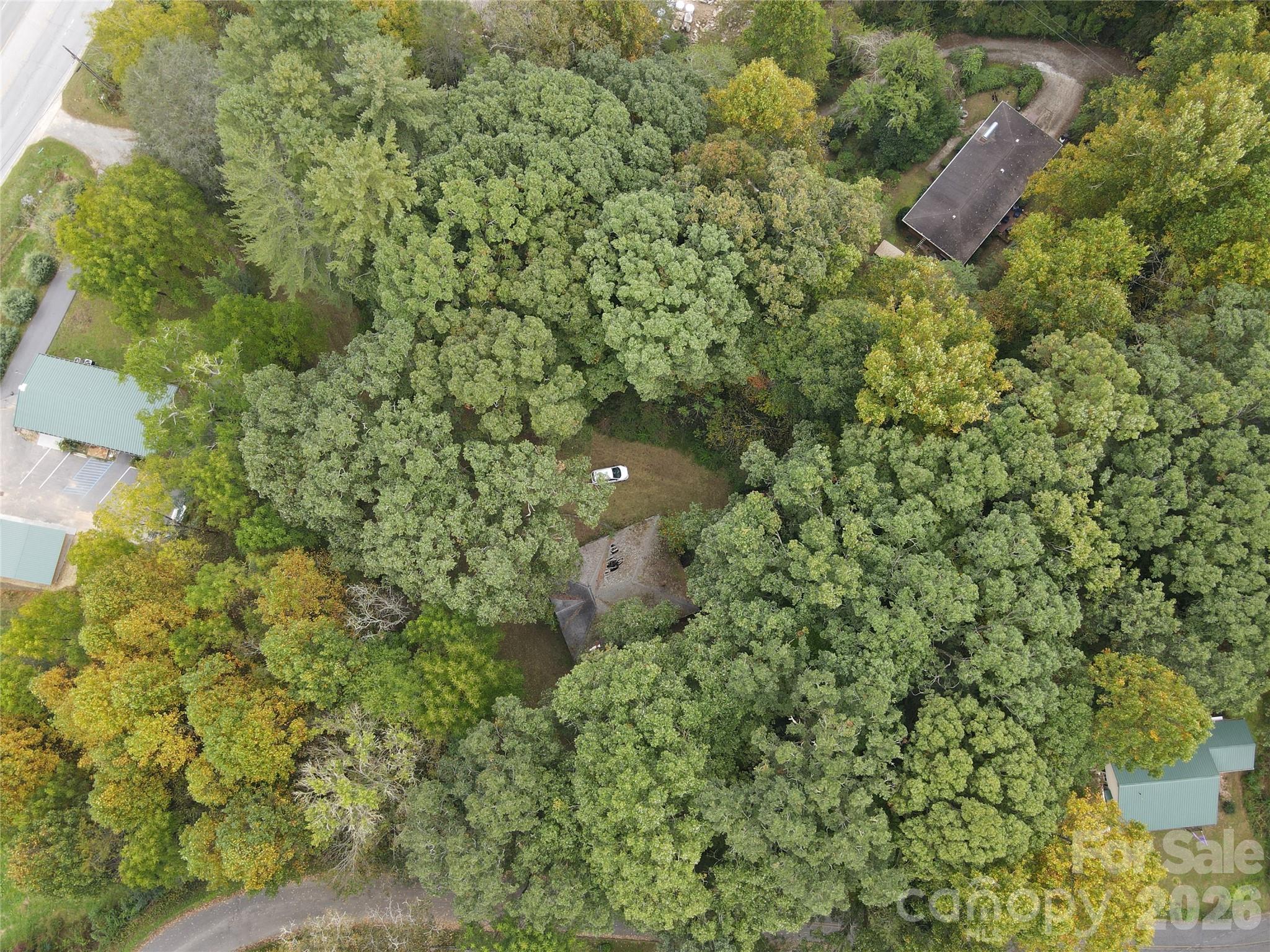 Forest Hills - Land