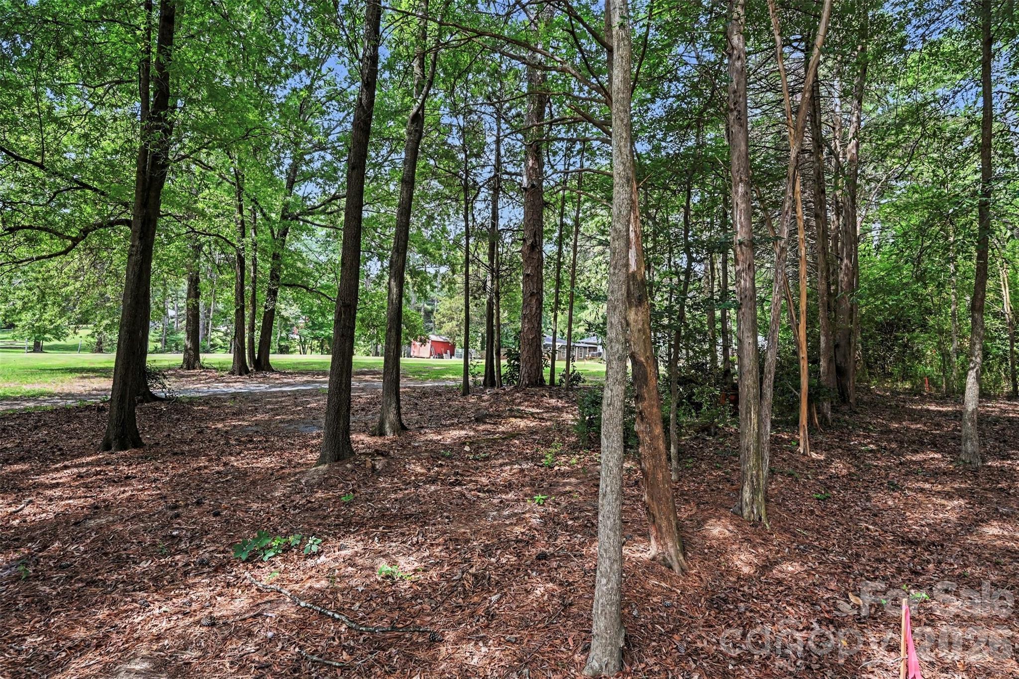 Shannon Hills - Land