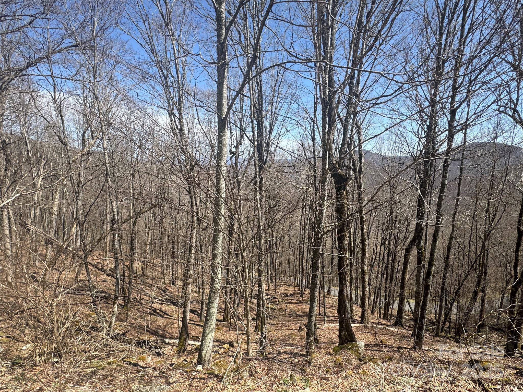 Two adjoining lots, bargain priced, for a total of 1.214 acres in the Overlook Village section of Wolf Laurel.  The lots offer possible extreme views to the East with allowed tree trimming, and perfect morning sun.  The neighborhood features all paved roads, for unusually good year round access at hi elevation, as well as streetlights and UG utilities.  There is a community water system in place, buyers will need individual septic.  Wolf Laurel boasts year round activities including, the new Hatley Pointe ski slopes, Wolf Laurel country club, and Village Club amenities.  Amenities are not included in HOA fees, and subject to separate, voluntary membership fees.  Non brokers must be accompanied for sec gate.