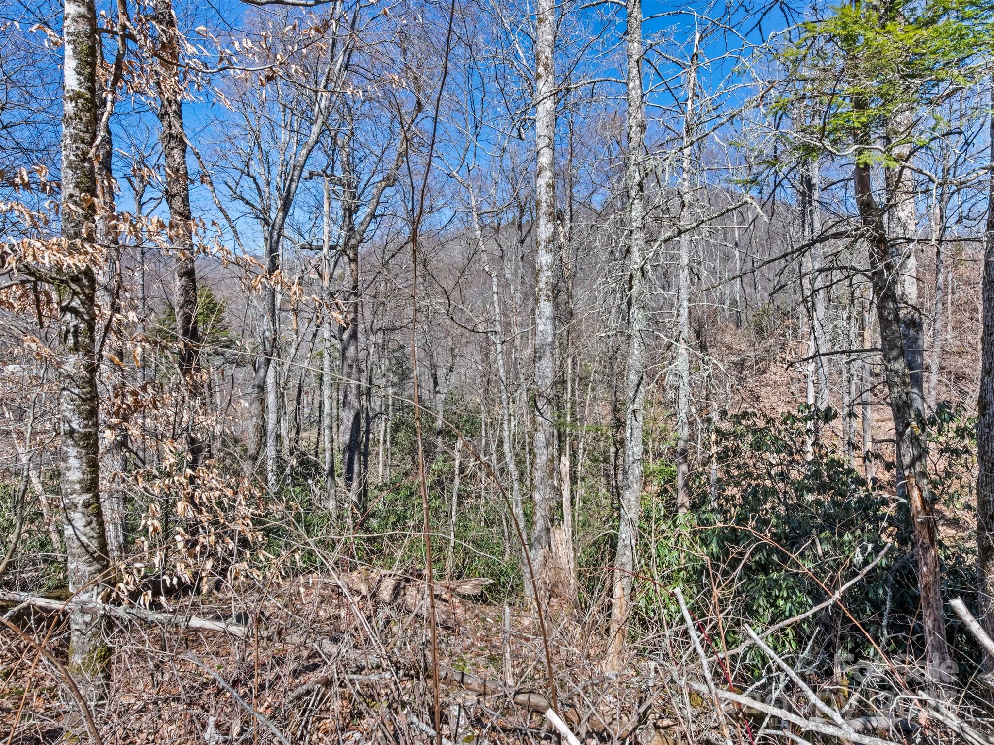 Cranberry Falls - Land