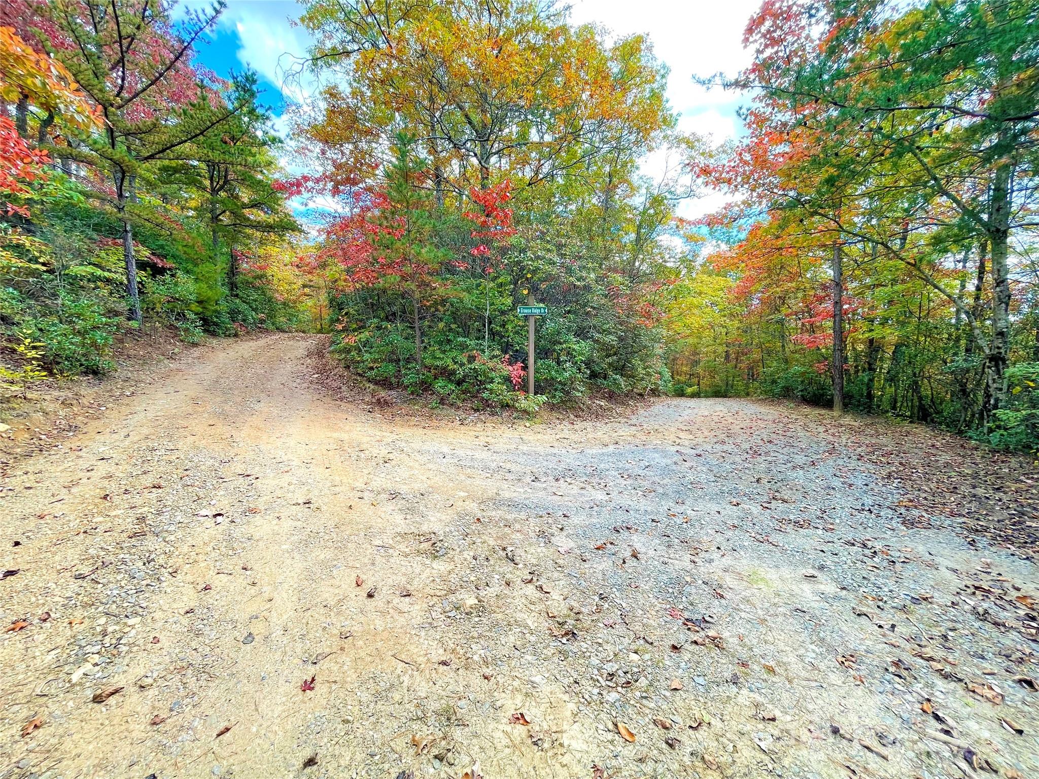 Miller Cove - Land