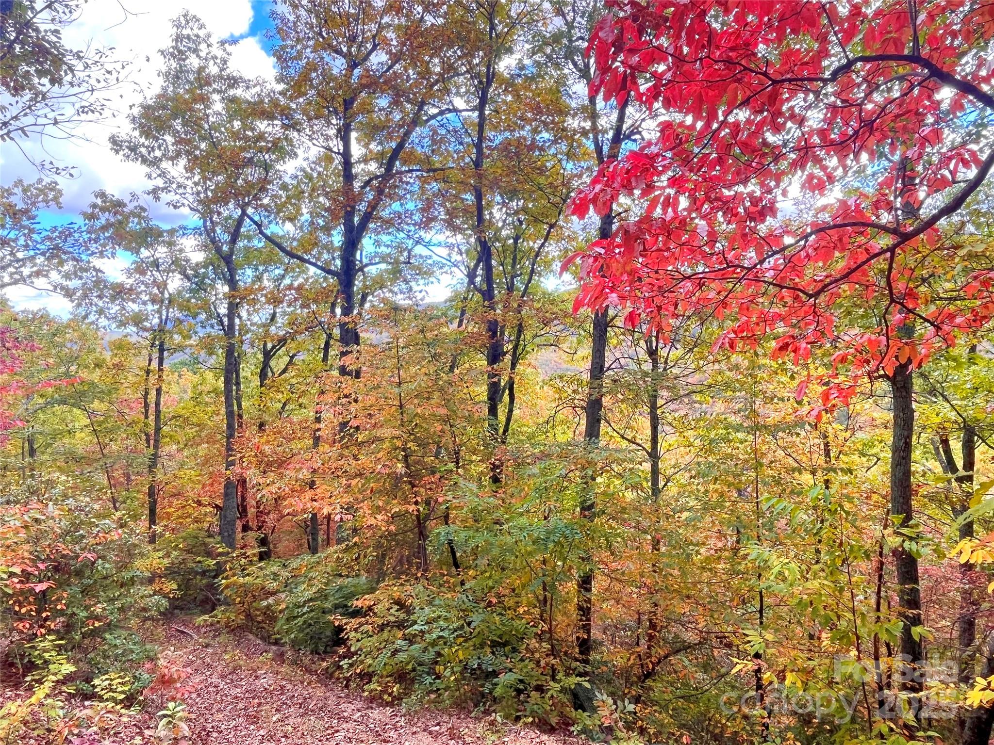 Miller Cove - Land