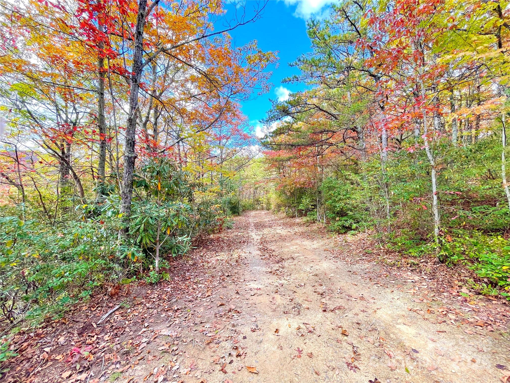Miller Cove - Land