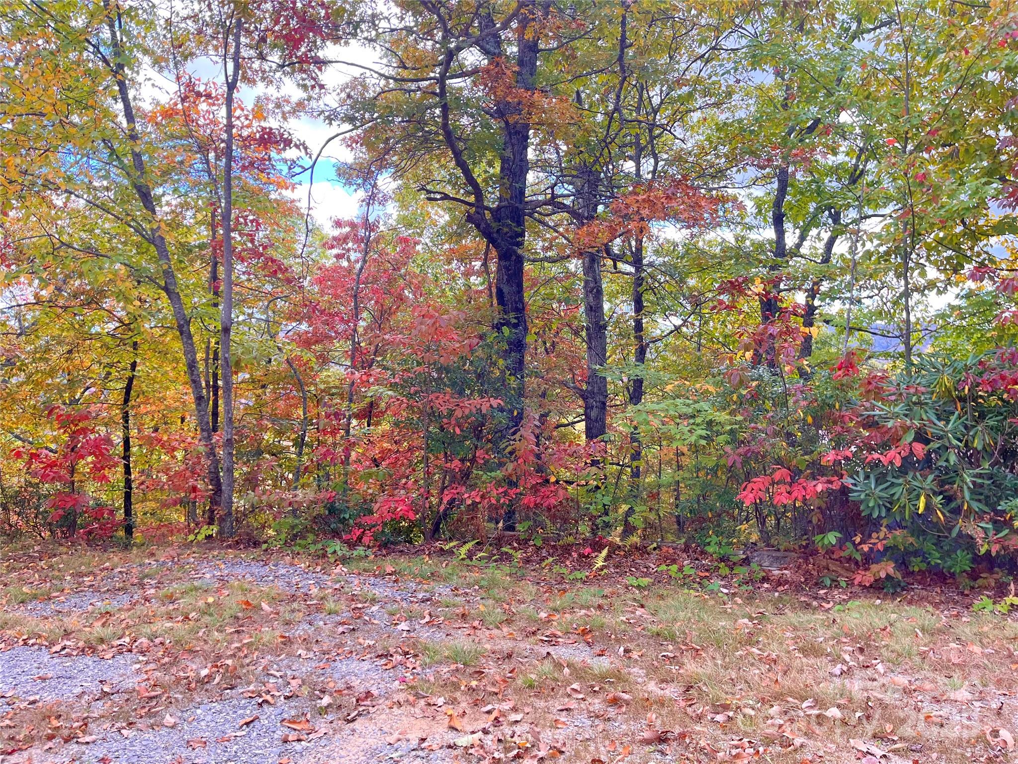 Miller Cove - Land