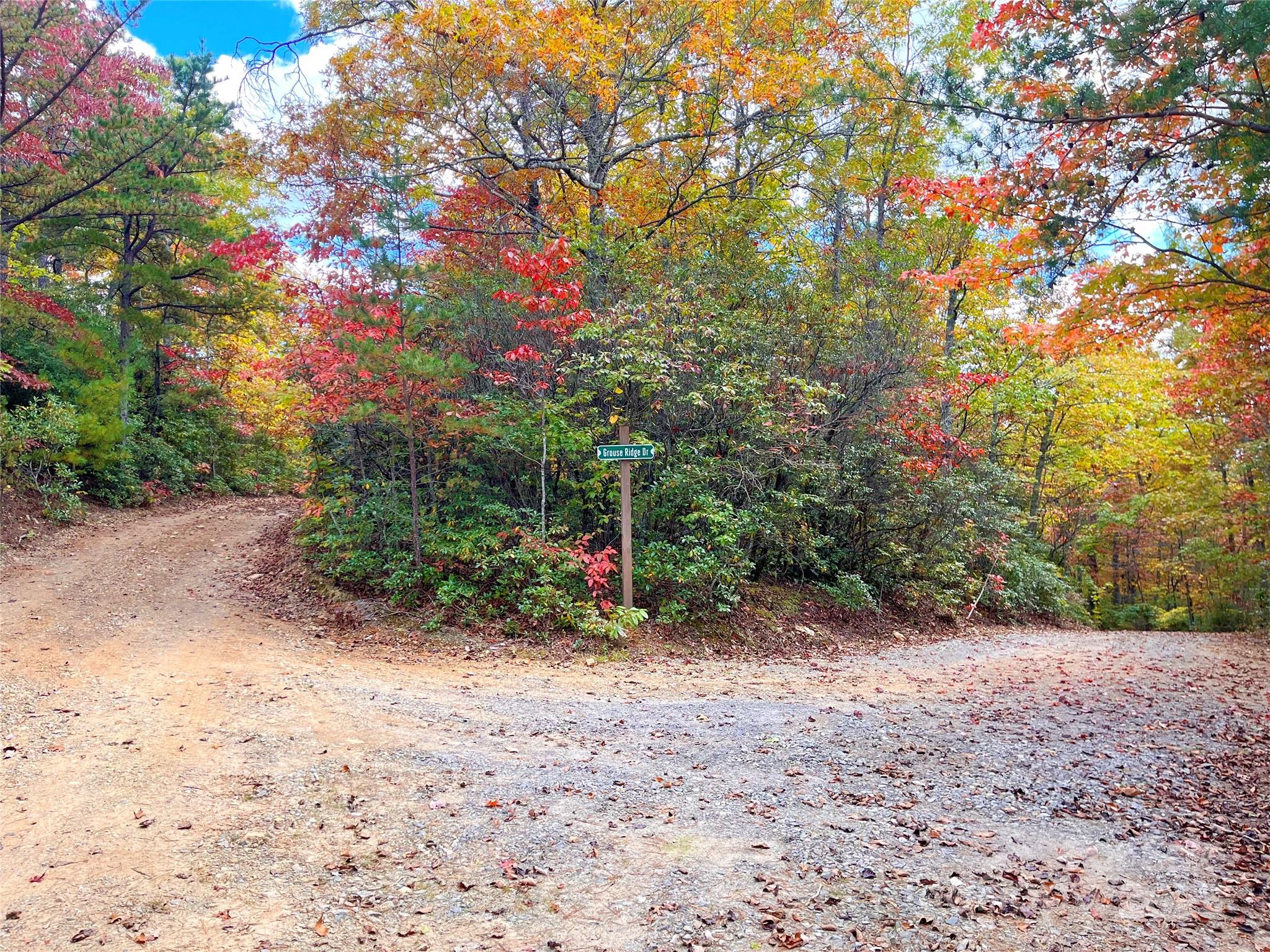 Miller Cove - Land