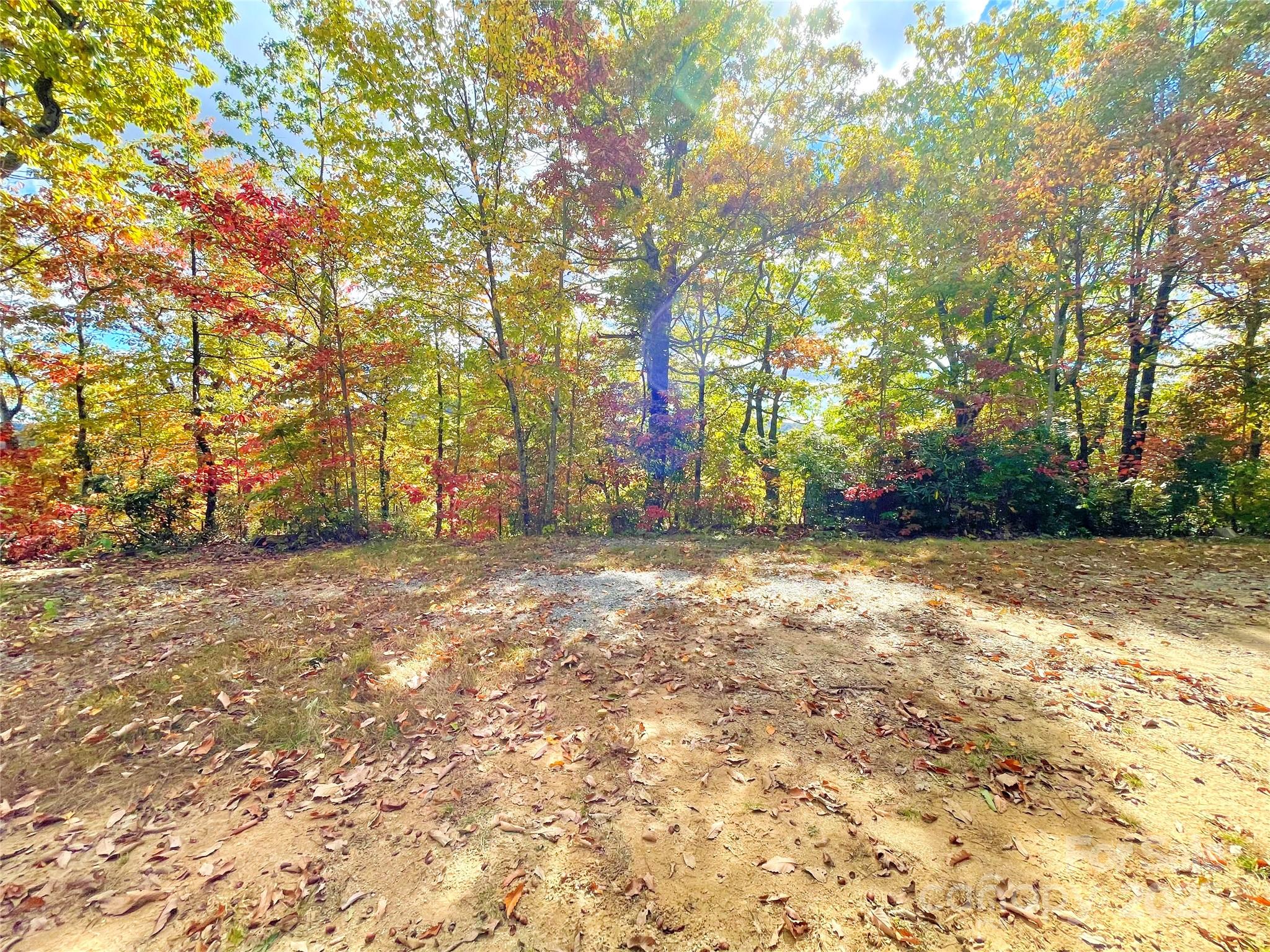 Miller Cove - Land