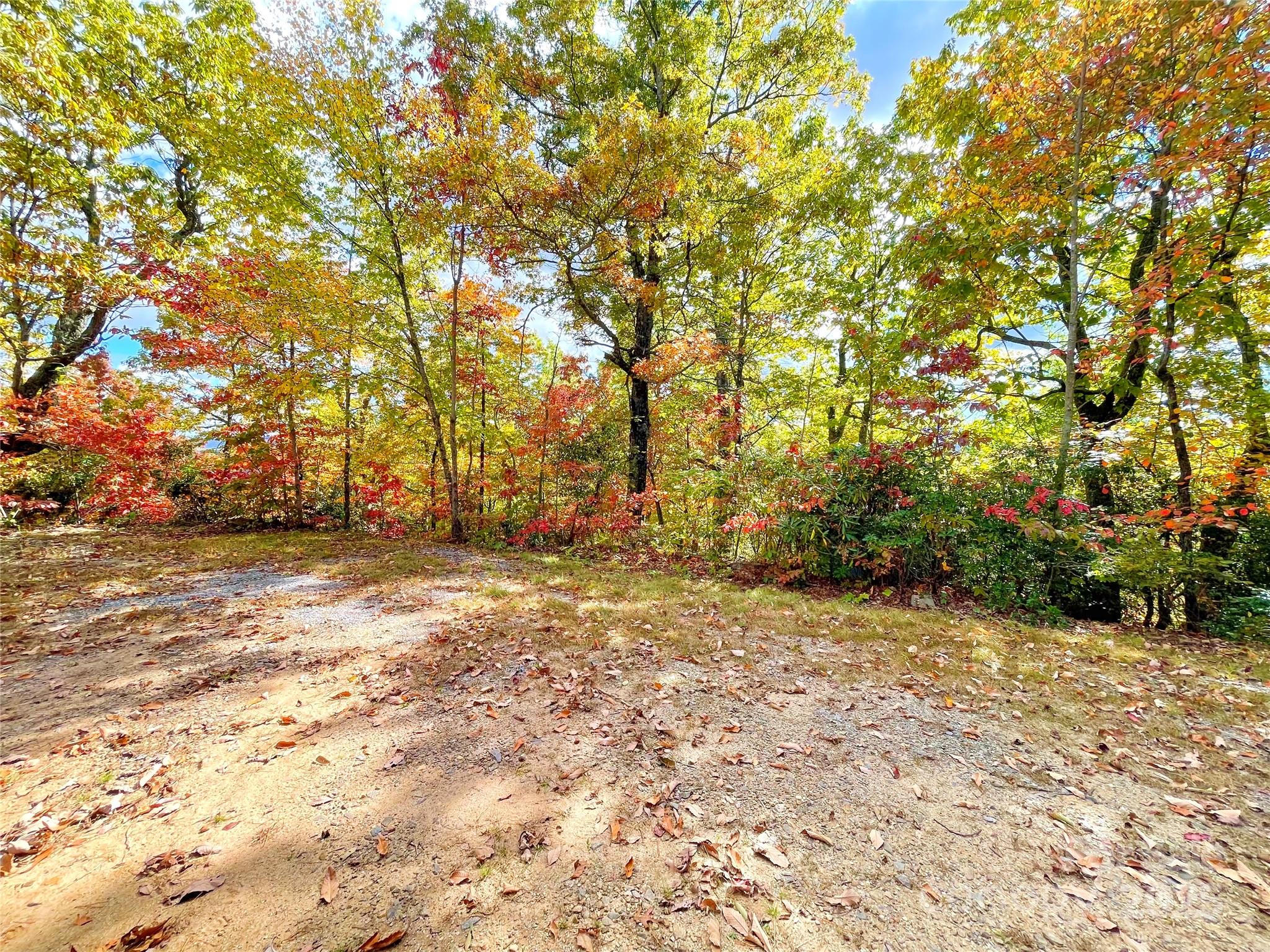 Miller Cove - Land