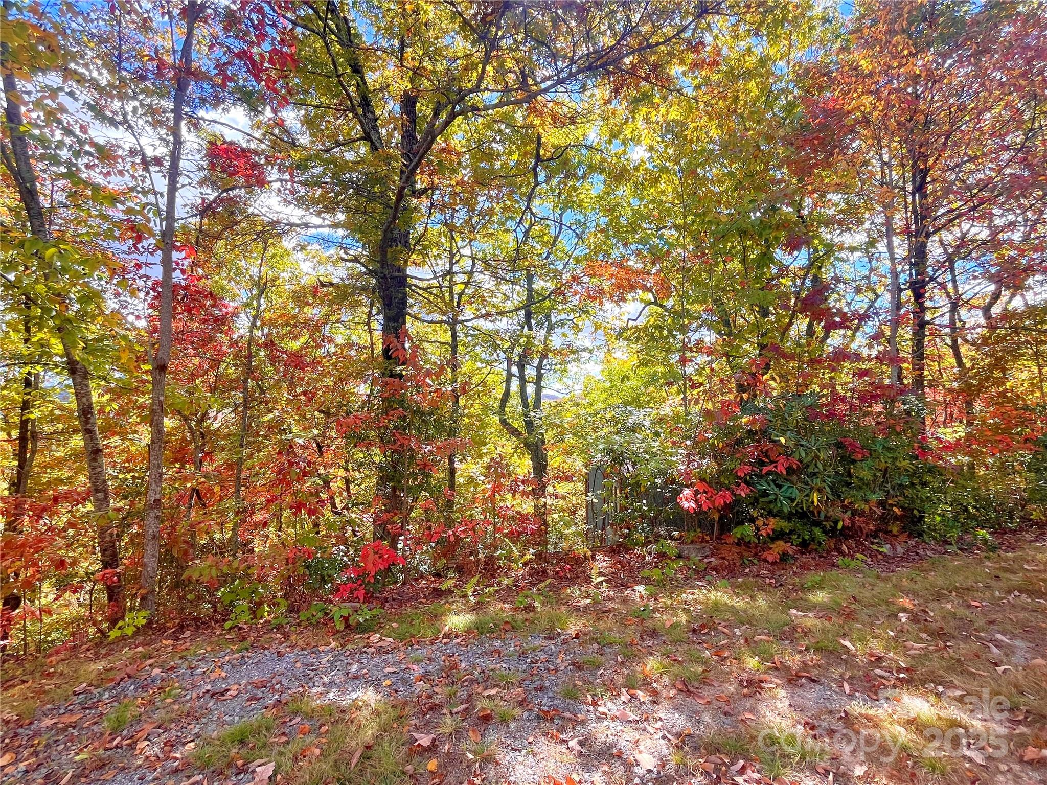 Miller Cove - Land
