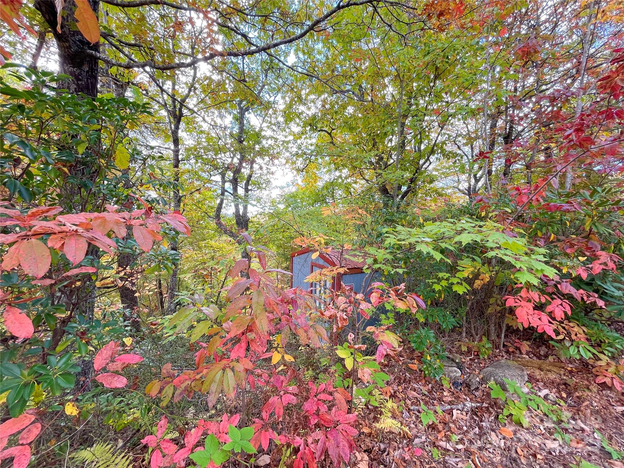 Miller Cove - Land
