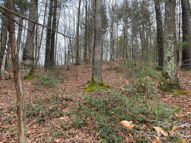 The Meadows at Lake James Station - Land