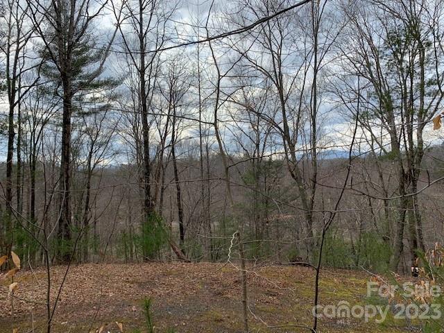 The Meadows at Lake James Station - Land