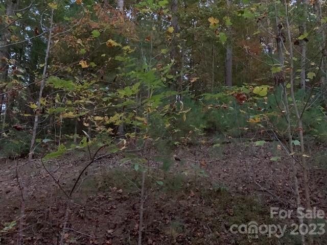 The Meadows at Lake James Station - Land