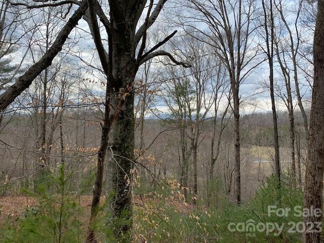 The Meadows at Lake James Station - Land