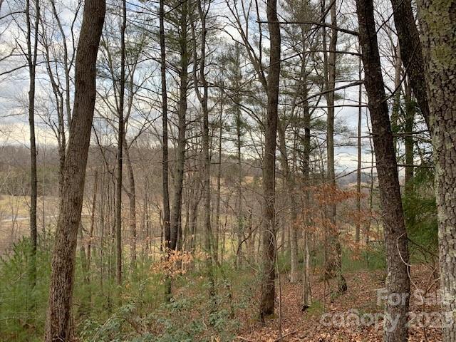 The Meadows at Lake James Station - Land