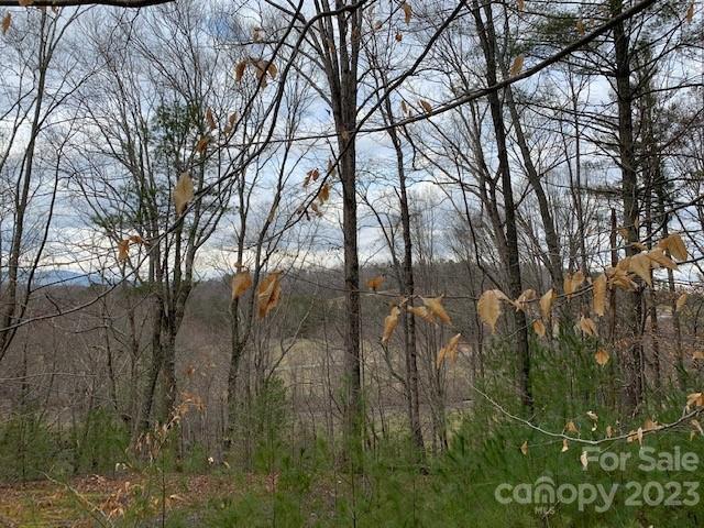 The Meadows at Lake James Station - Land