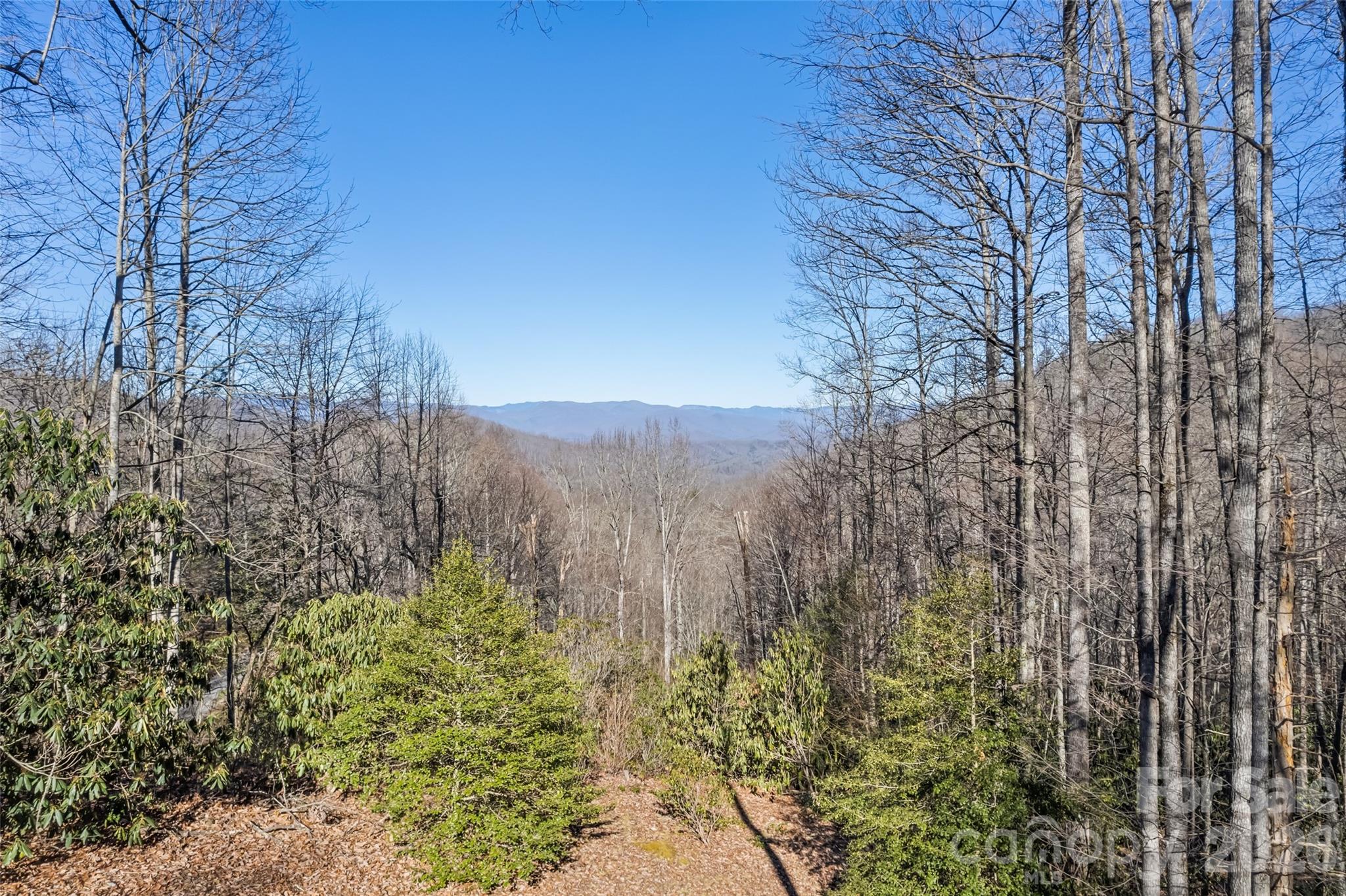 Forest Run - Residential