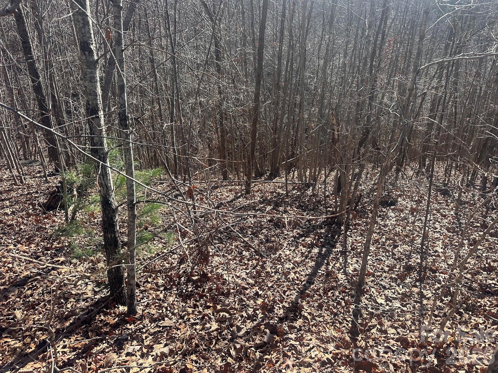 South Mountain Peaks - Land
