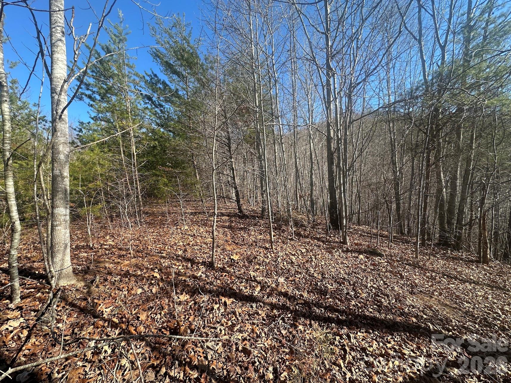 2.52 acres in the beautiful gated community of South Mountain Peaks. Corner lot on corner of Woodgate Drive and Robinwood Trail with building site on Robinwood. According to the owner the lot had a perc test when they purchased but has expired.