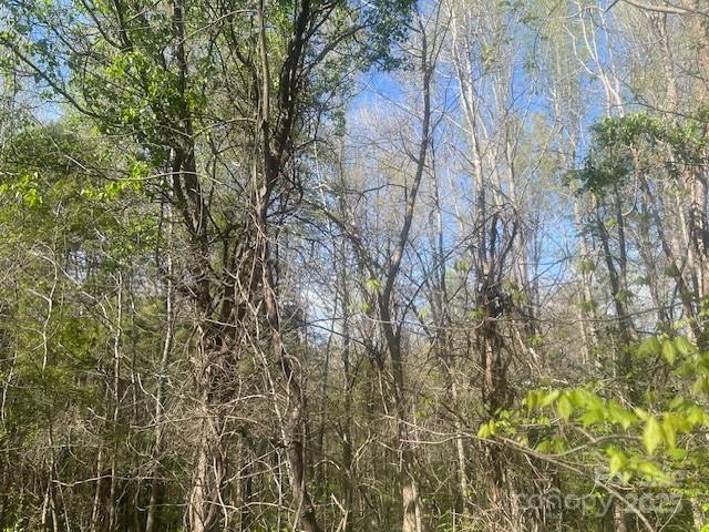 Don’t miss this chance to own a spacious piece of land in a growing community with everything you need close by! This 3 Acre property offers a unique opportunity for development with both residential and natural features. The land is zoned R-3 Residential, making it ideal for a variety of potential uses, with approximately 1.2 acres in a non-flood zone. Quarry creek running through the land (1.84 acres located in a flood zone (non-buildable)) but don't be discouraged because there is plenty of land to build a beautiful residence and enjoy the sound and view of the creek. In addition the property conveys with 2 sewer taps on site. 

This property offers a peaceful setting with easy access to convenient stores, parks and trails for outdoor enthusiast. Whether you're looking to build a home or develop the land further, this location provides a solid foundation for your vision. 

No Survey or Perc Test completed. In order to find accurate property lines please have a survey completed.