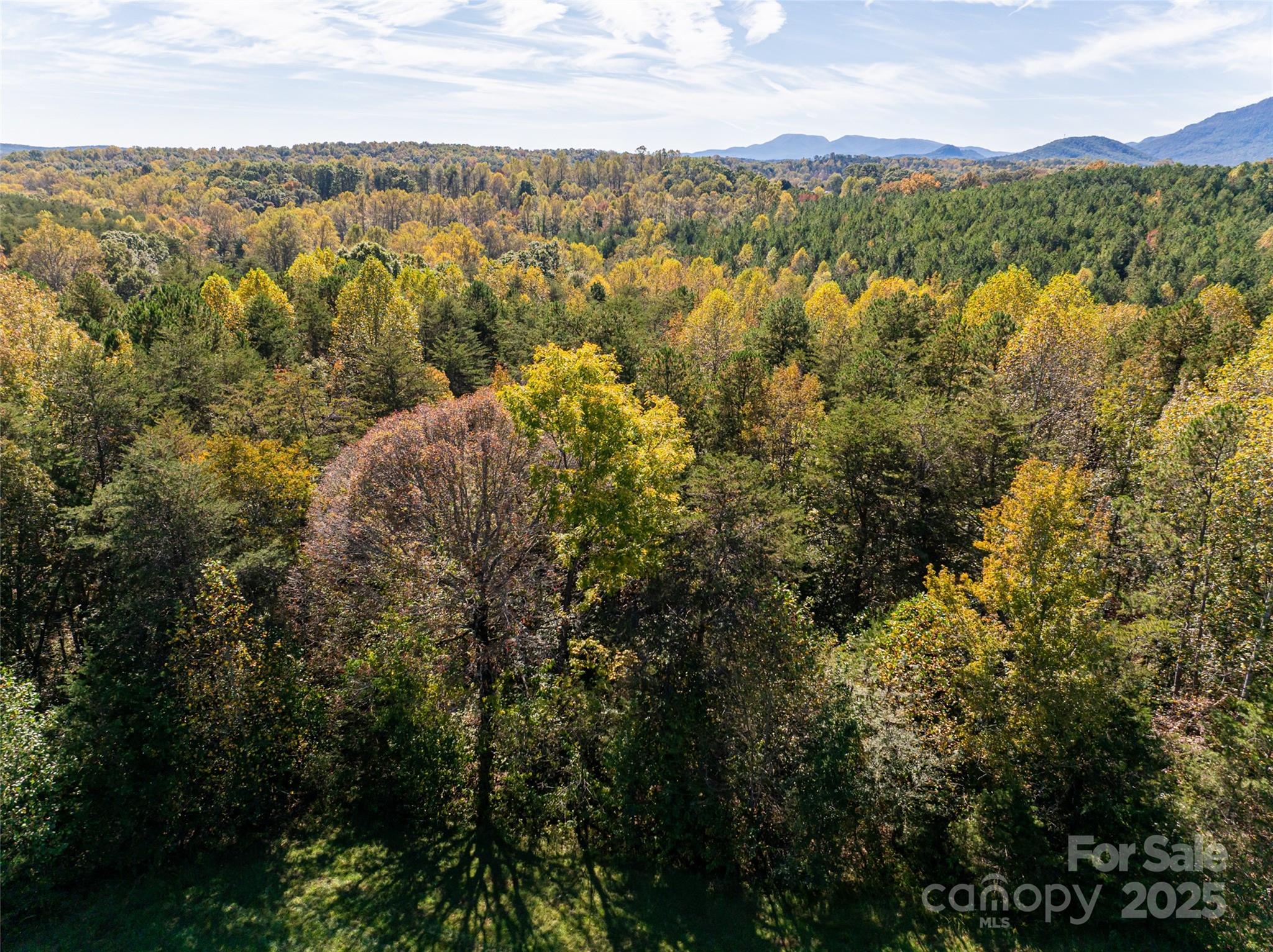 Tryon Equestrian Farms - Land
