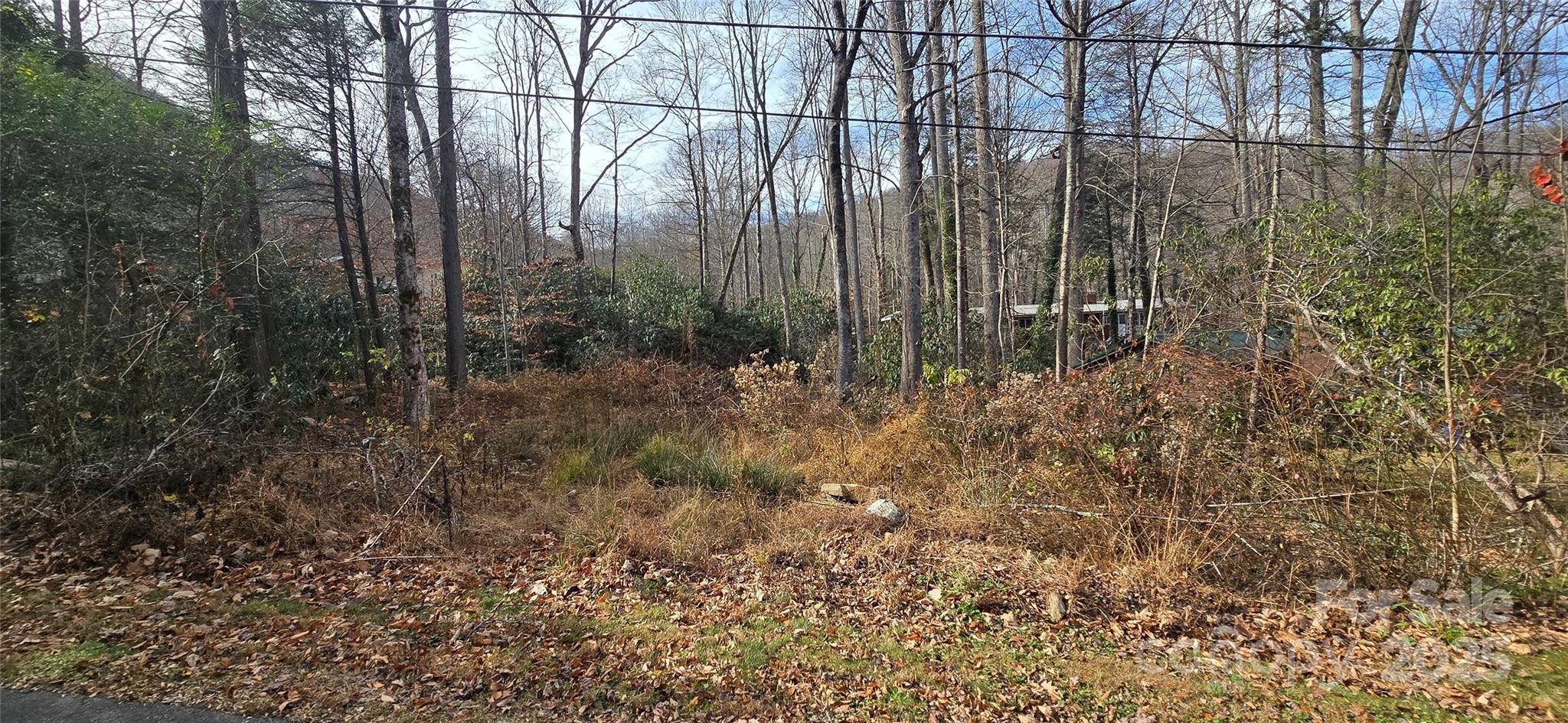Twinbrooks Resort - Land