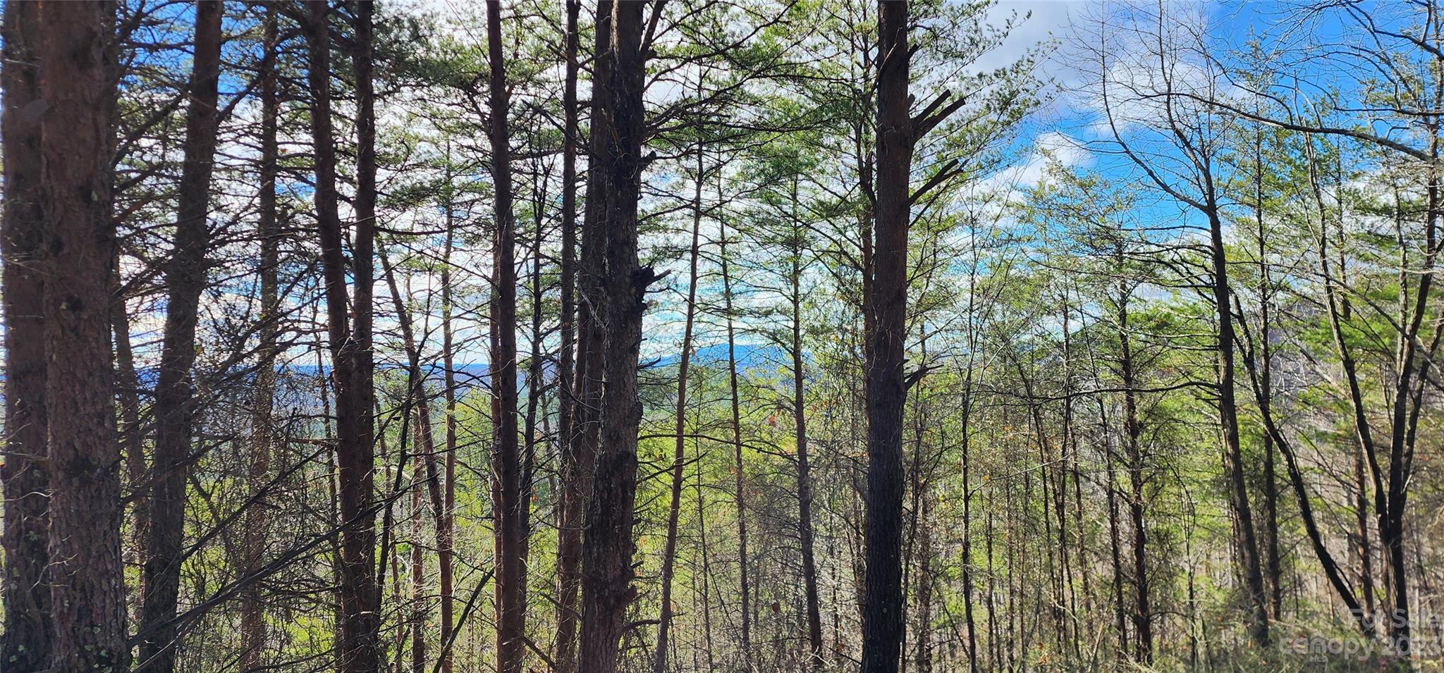 Pinnacle Ridge - Land